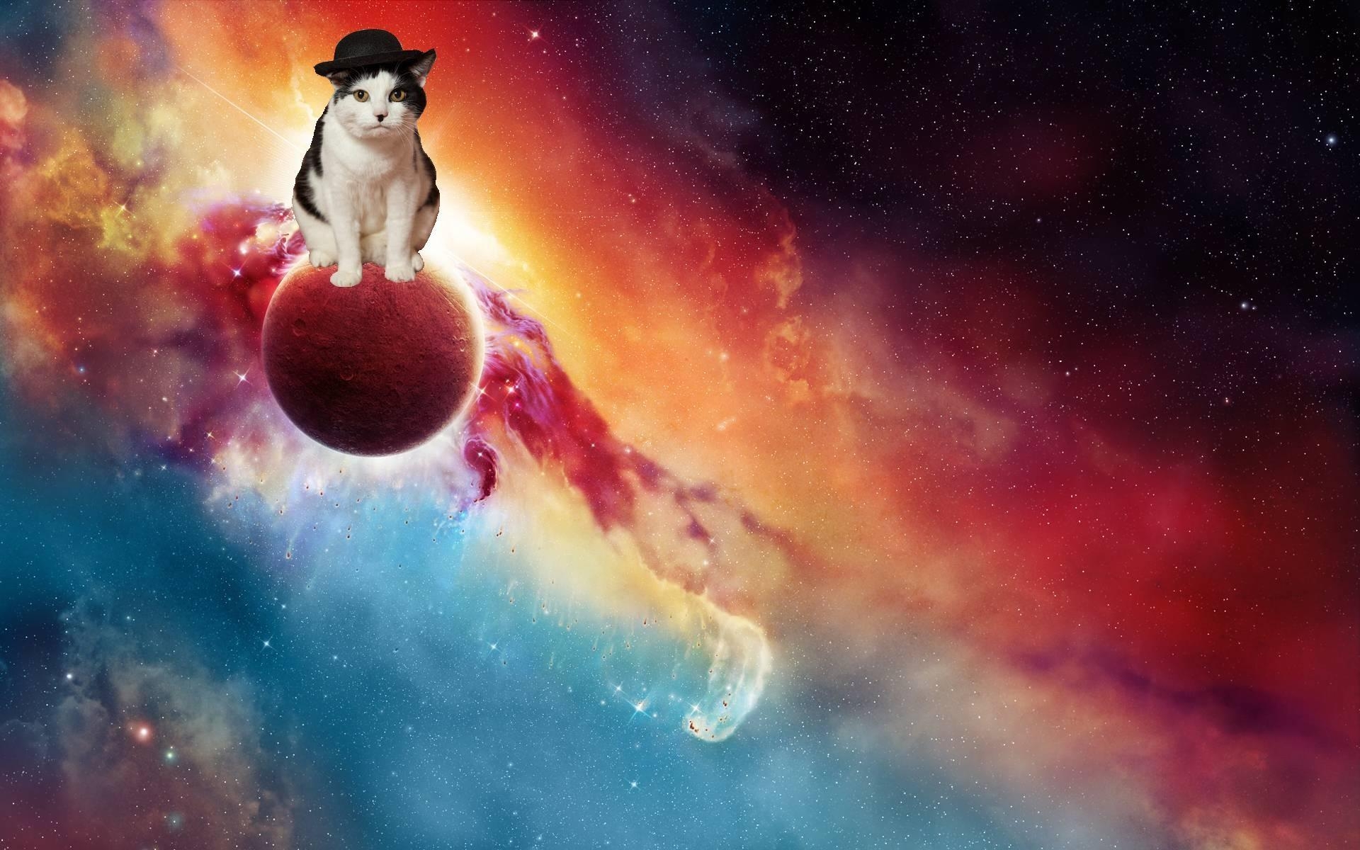 1920x1200 Space Cat Wallpaper, Desktop