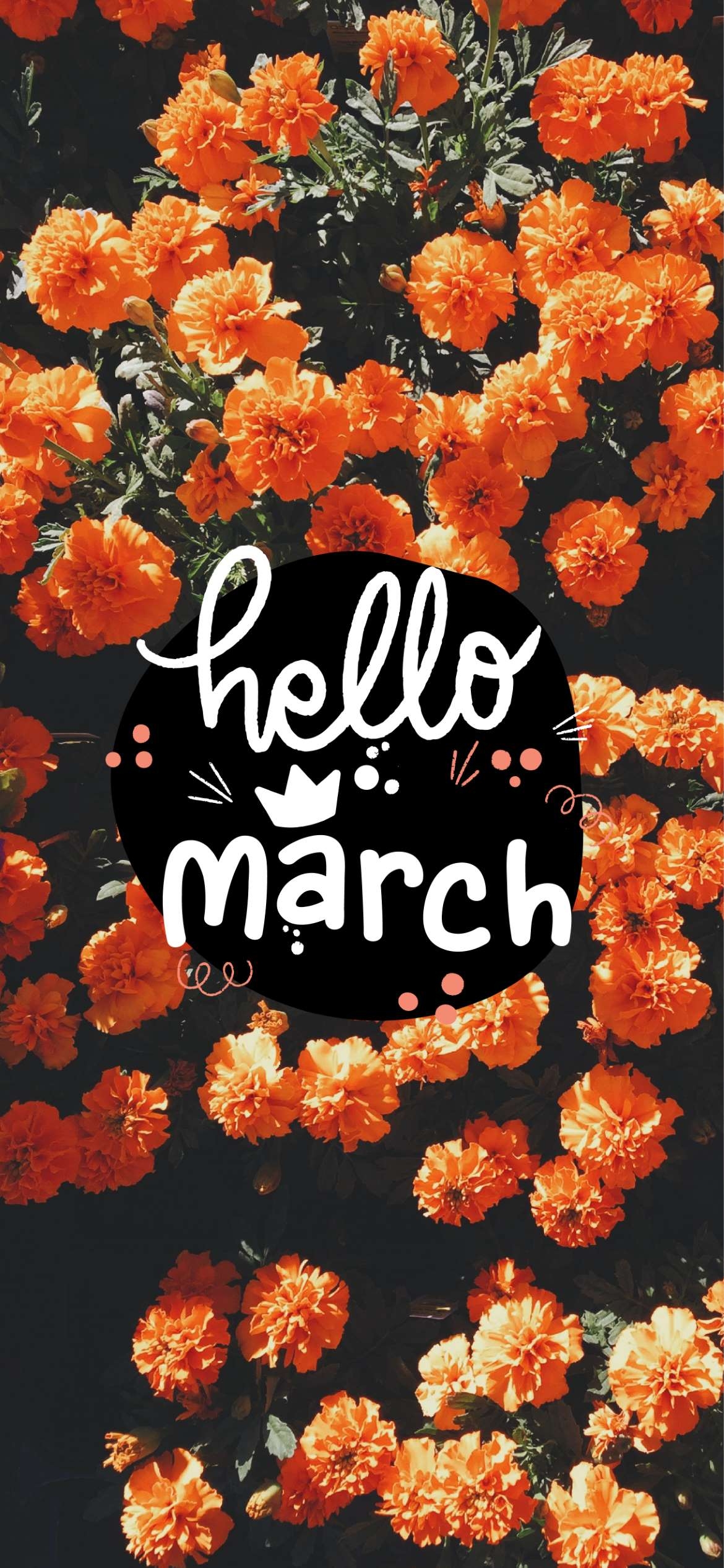 1170x2540 Hello March Aesthetic Wallpaper For Your Phone This Spring, Phone