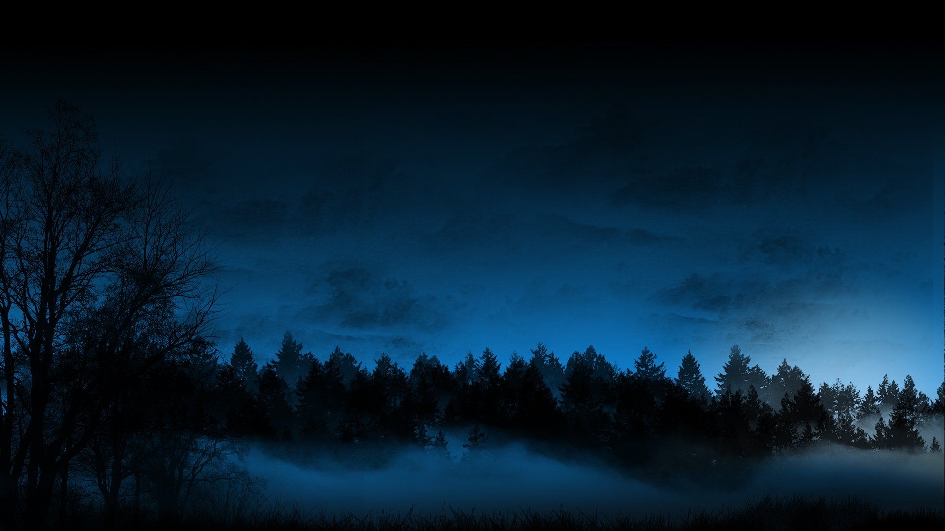 1920x1080 Starry Sky HD Wallpaper Background Wallpaper. Dark landscape, Gothic landscape, Forest wallpaper, Desktop