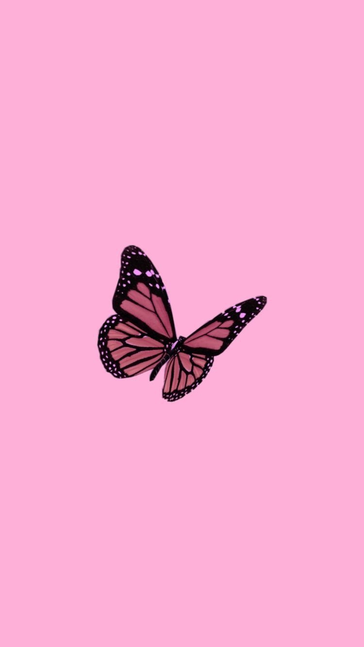 750x1340 Cute Pink Butterfly Wallpaper Free Cute Pink Butterfly Background, Phone