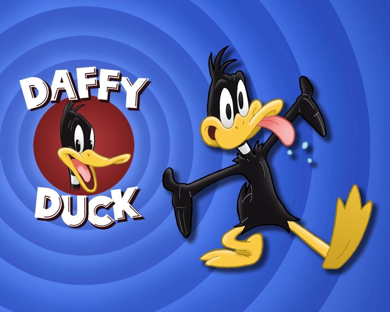 1280x1030 Daffy Duck image Daffy Duck HD wallpaper and background photo, Desktop