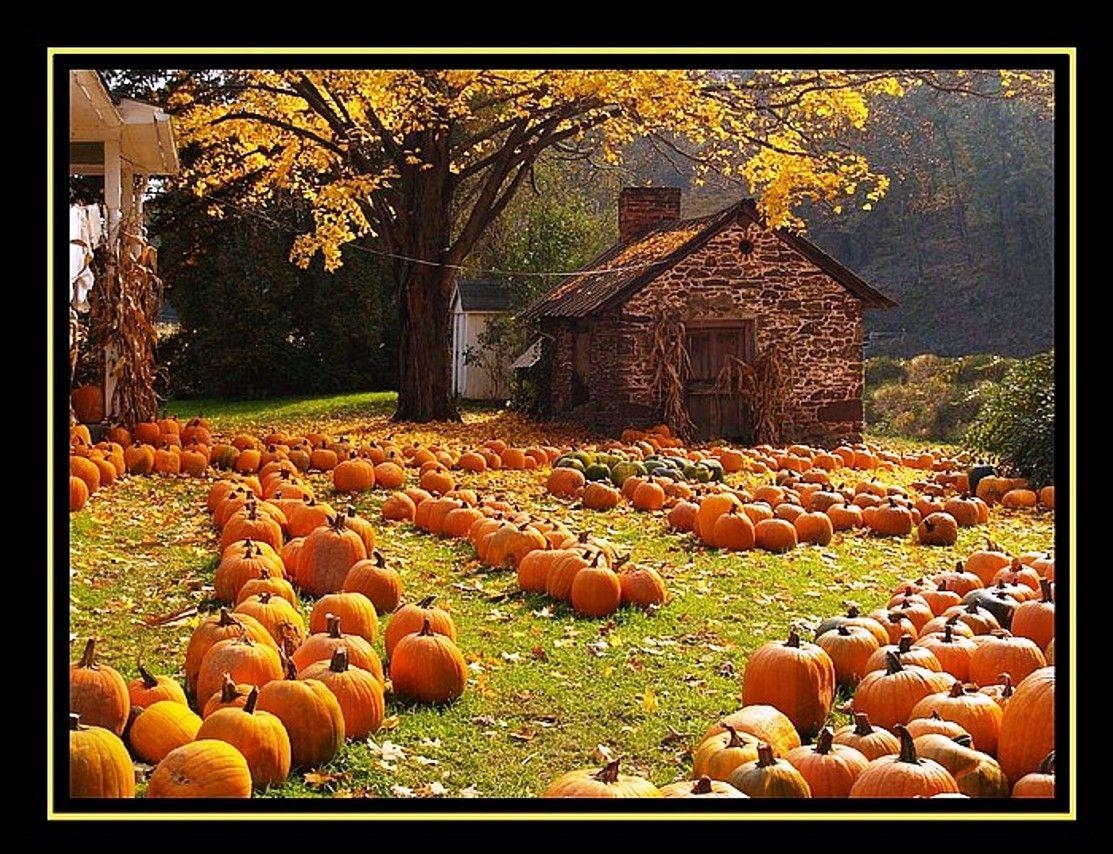 1120x860 Free Fall Wallpaper with Pumpkins, Desktop