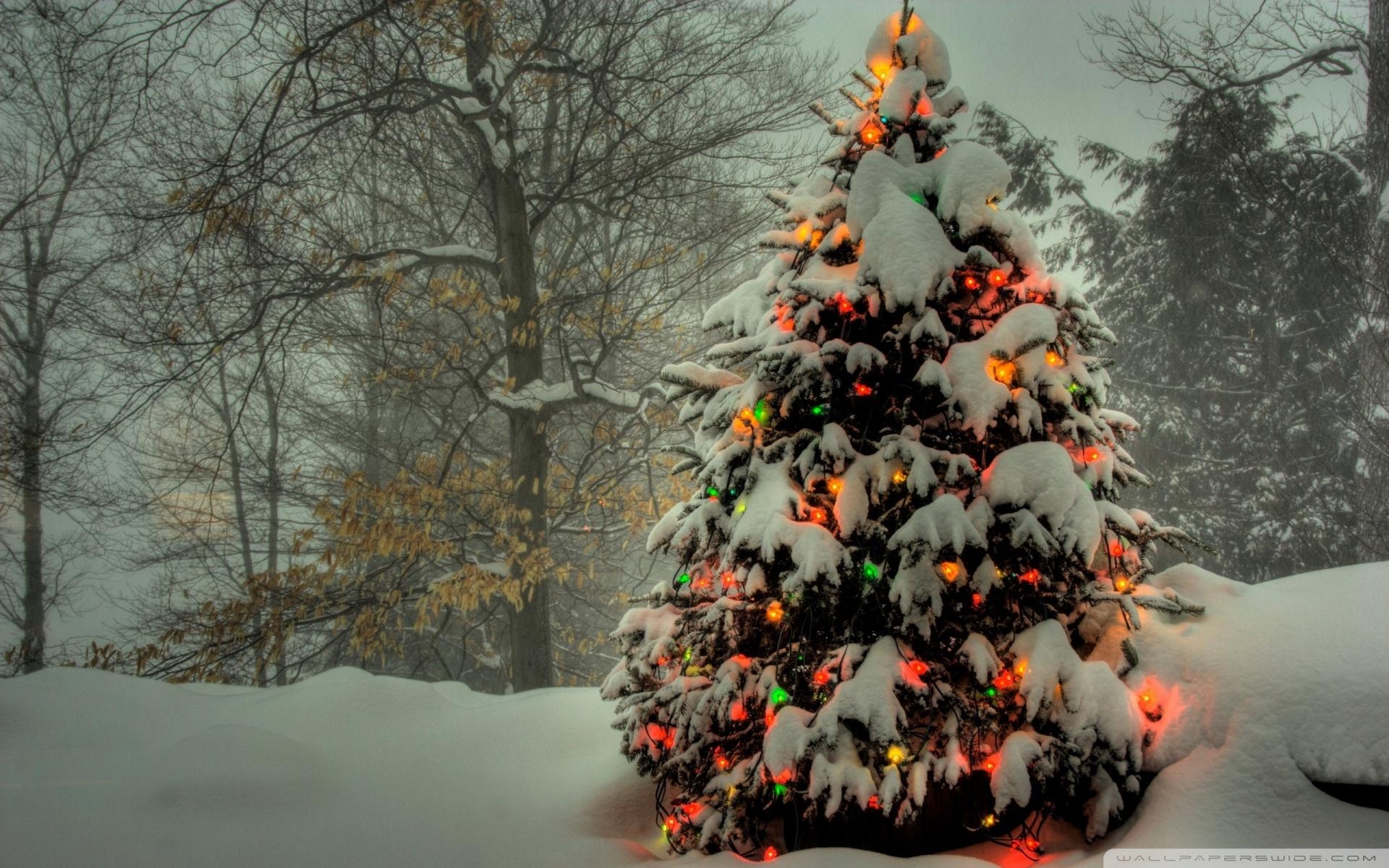 1920x1200 Christmas Wallpaper Windows 10 HD, Desktop