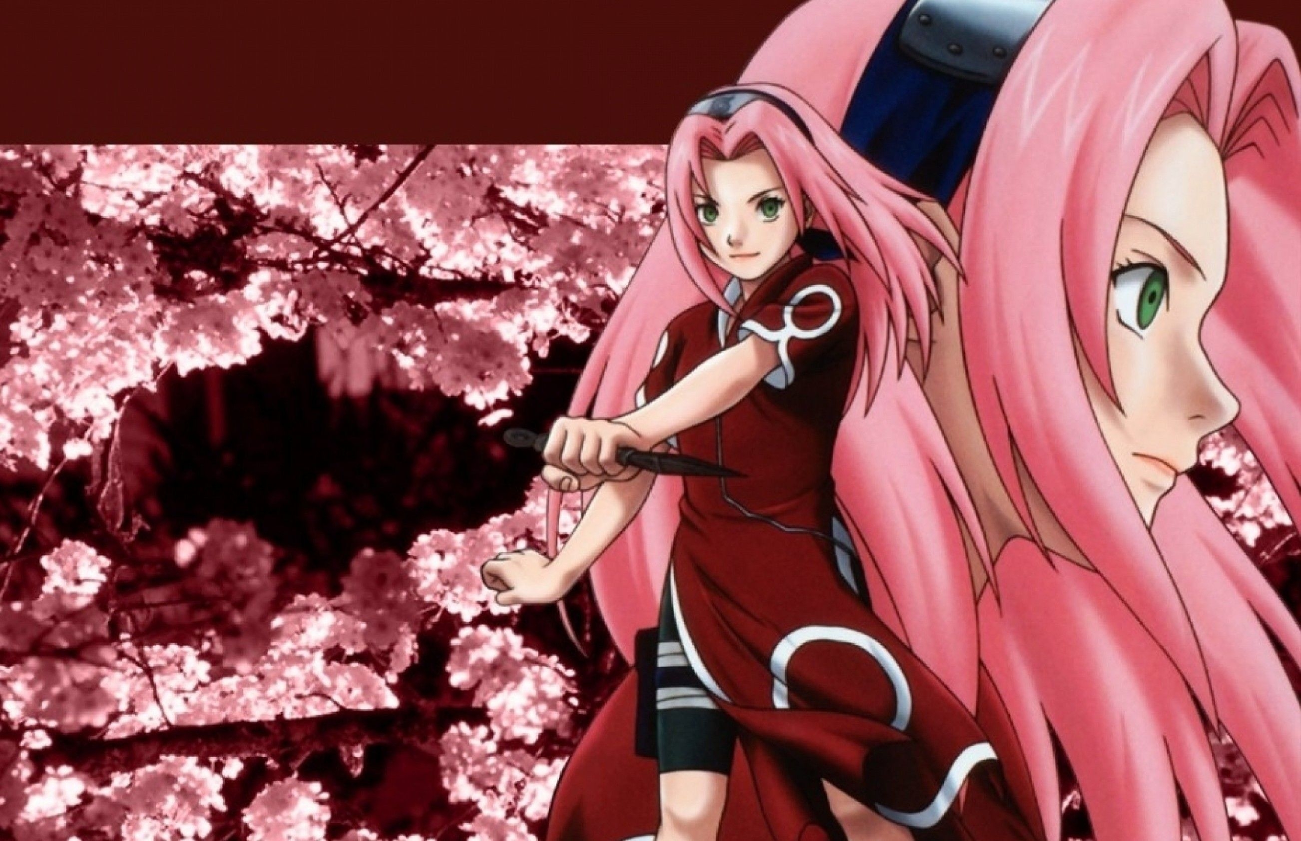 2610x1690 Sakura Shippuden Wallpaper, Desktop