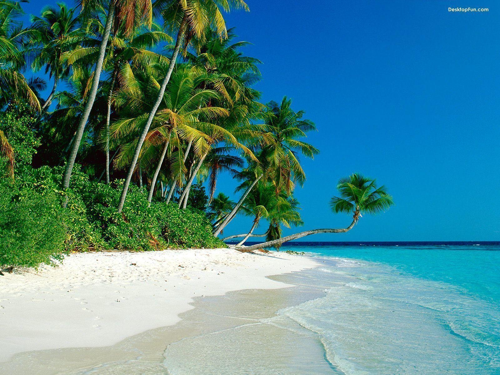 1600x1200 Beach Wallpaper. Wild Life Adventures, Desktop