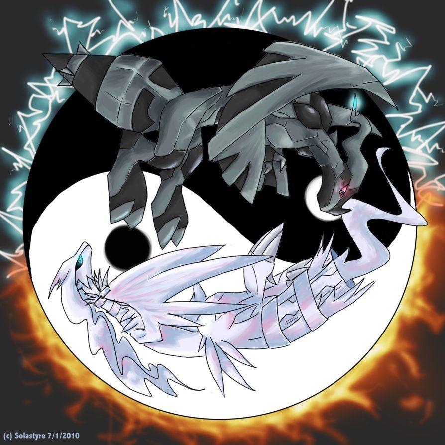 900x900 Reshiram and Zekrom image Zekrom HD wallpaper and background photo, Phone