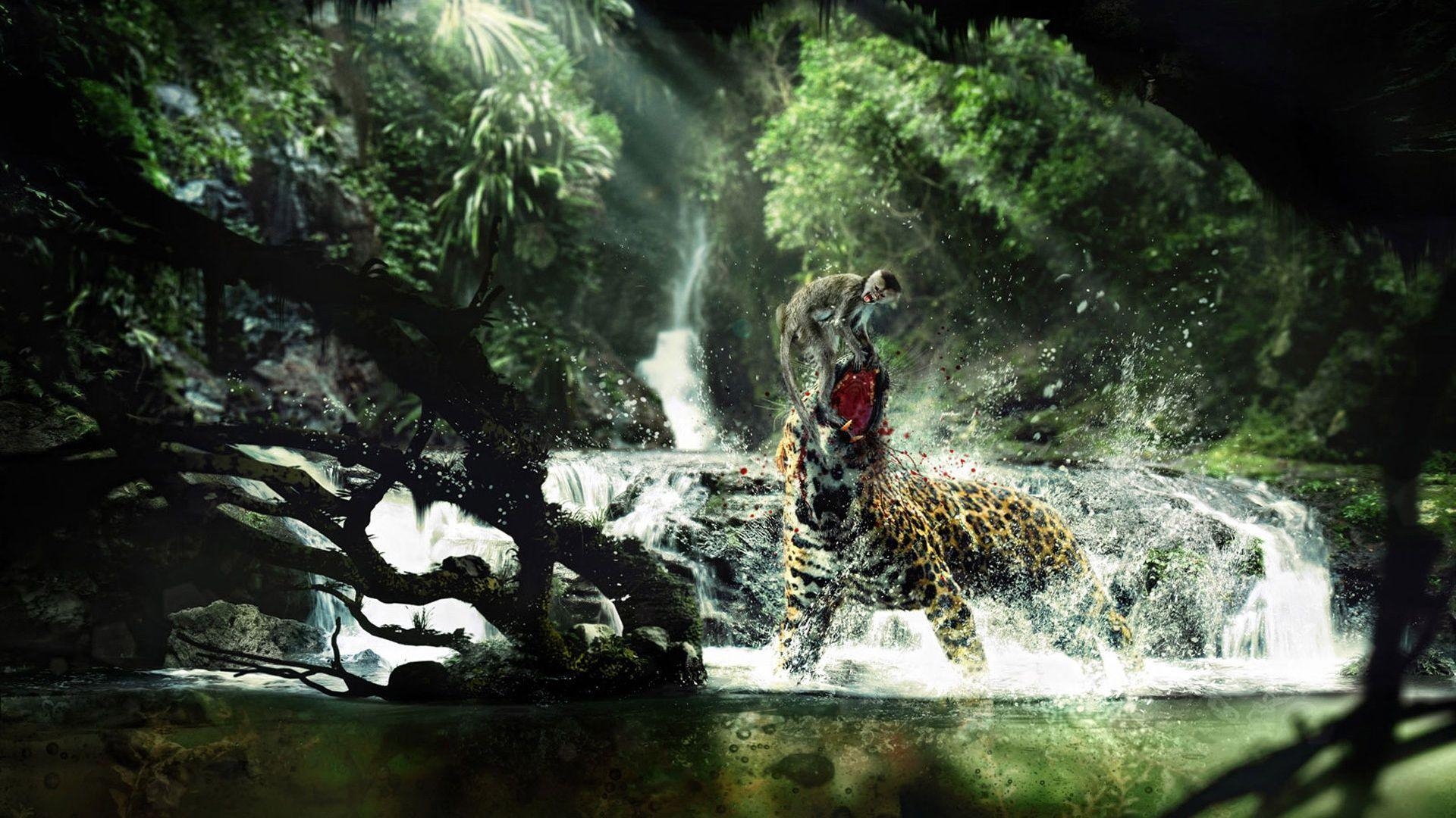 1920x1080 Download Fight Monkey Jaguar Tropical Forest wallpaper, Download, Desktop