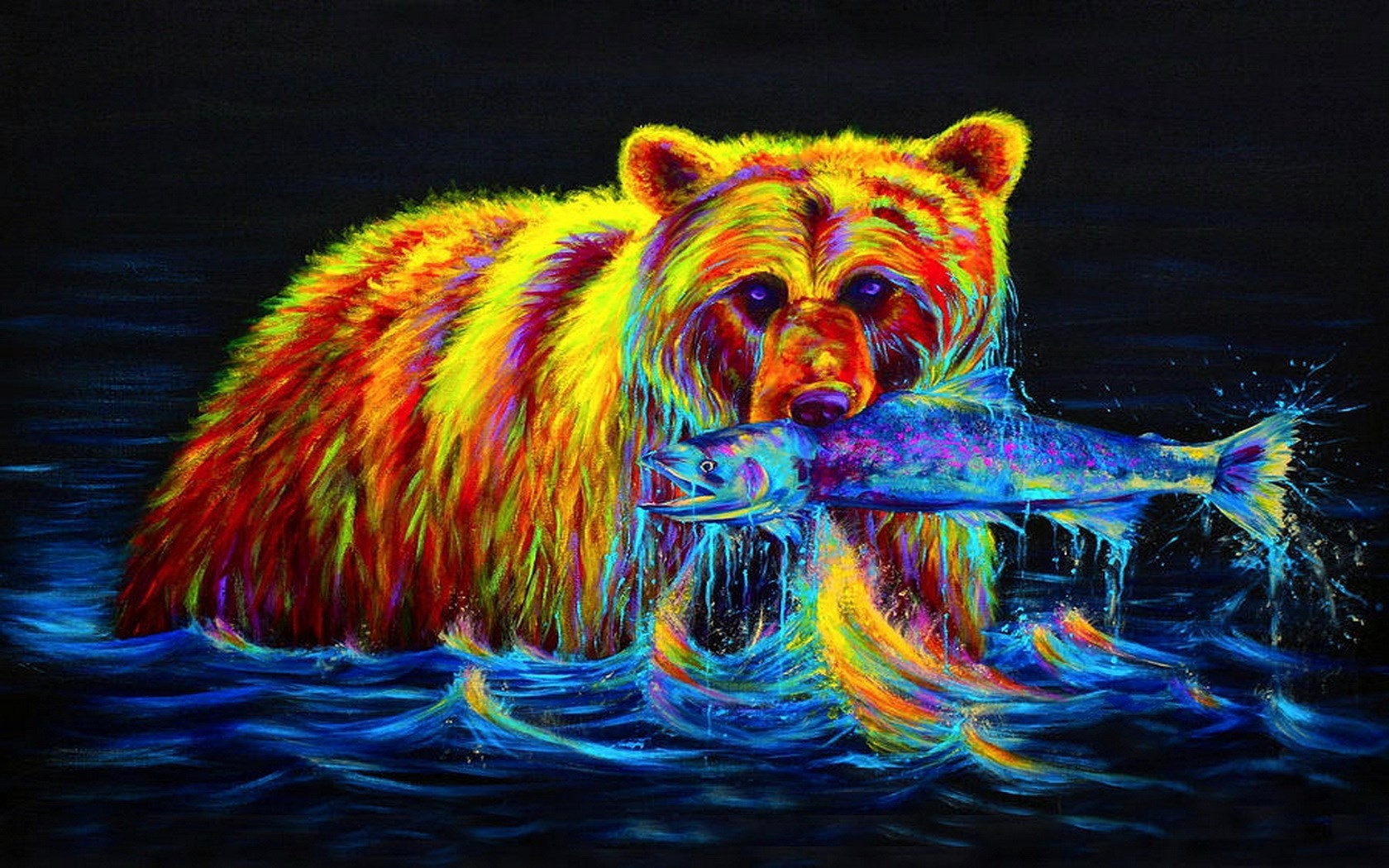 1680x1050  bear HD JPG 422 kB, Desktop