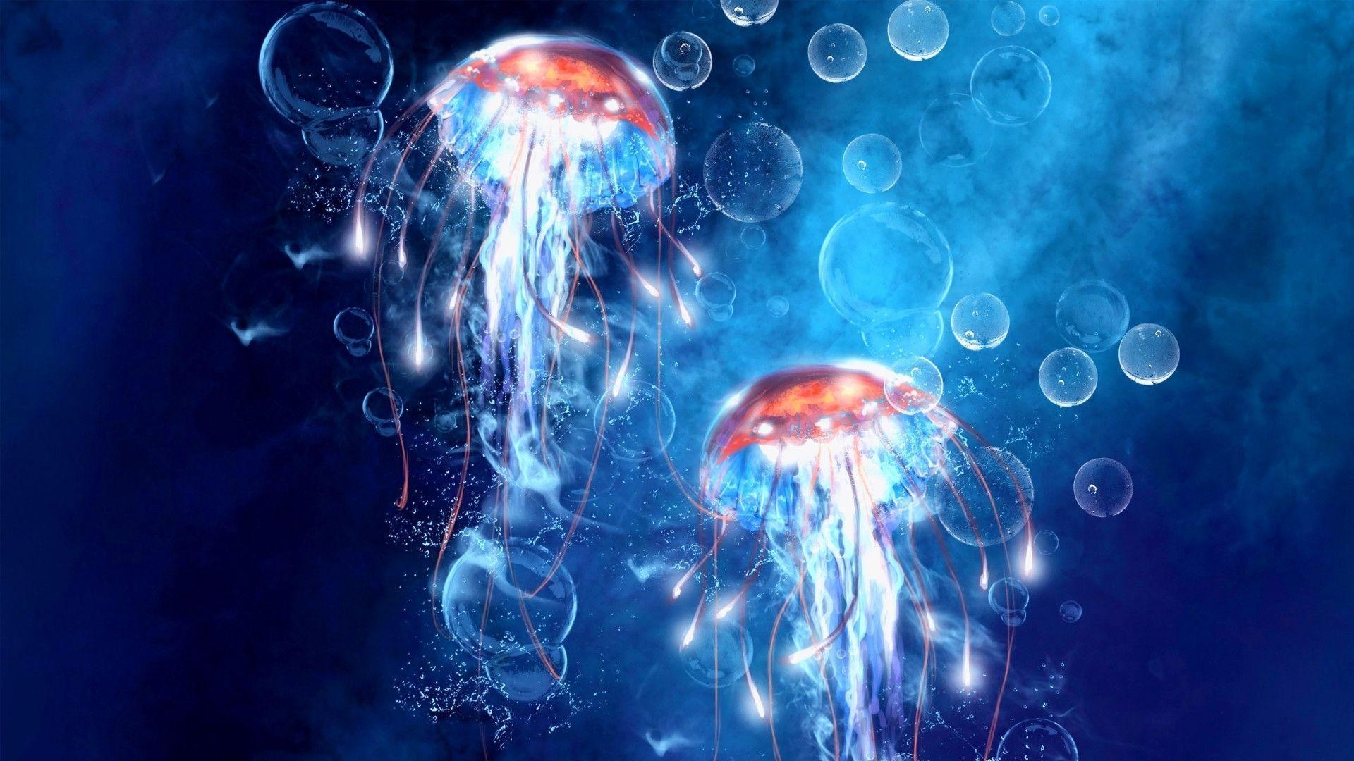 1920x1080 Jellyfish Wallpaper Free Jellyfish Background, Desktop