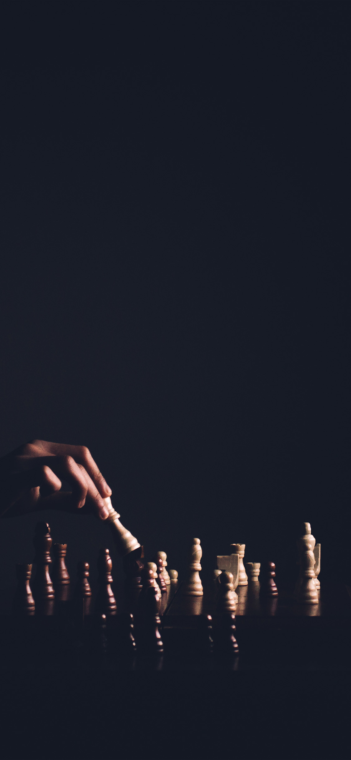 1130x2440 iPhone X wallpaper. chess dark game nature, Phone