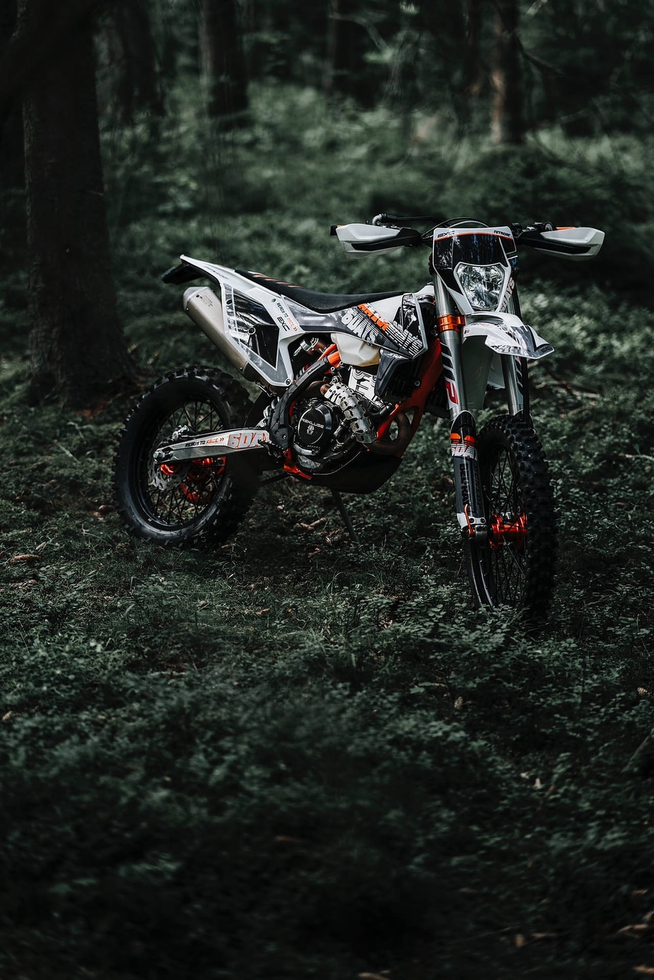 1290x1920 Download Dirt Bike In The Forest Wallpaper, Phone