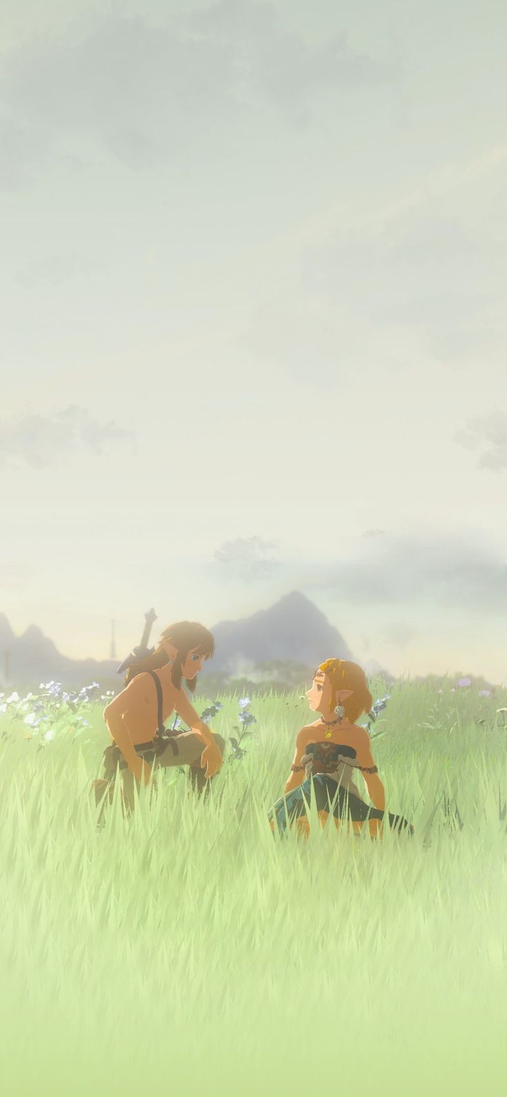 740x1600 Zelda phone wallpaper, Phone