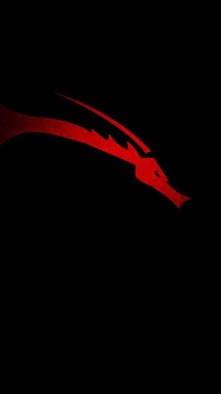 720x1280 Kali Linux wallpaper, Phone