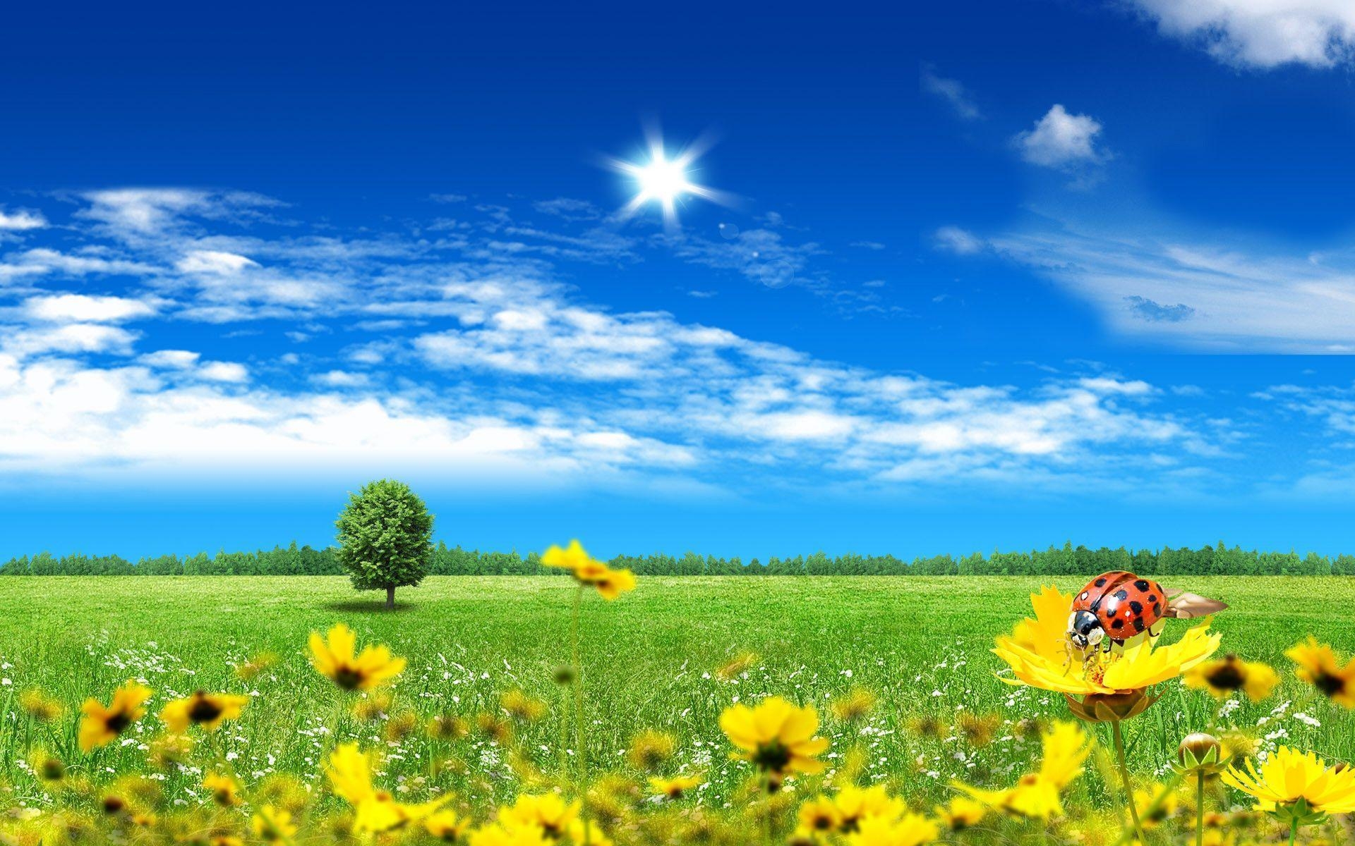 1920x1200 Meadow by the city Wallpaper. High Quality Wallpaper, Desktop