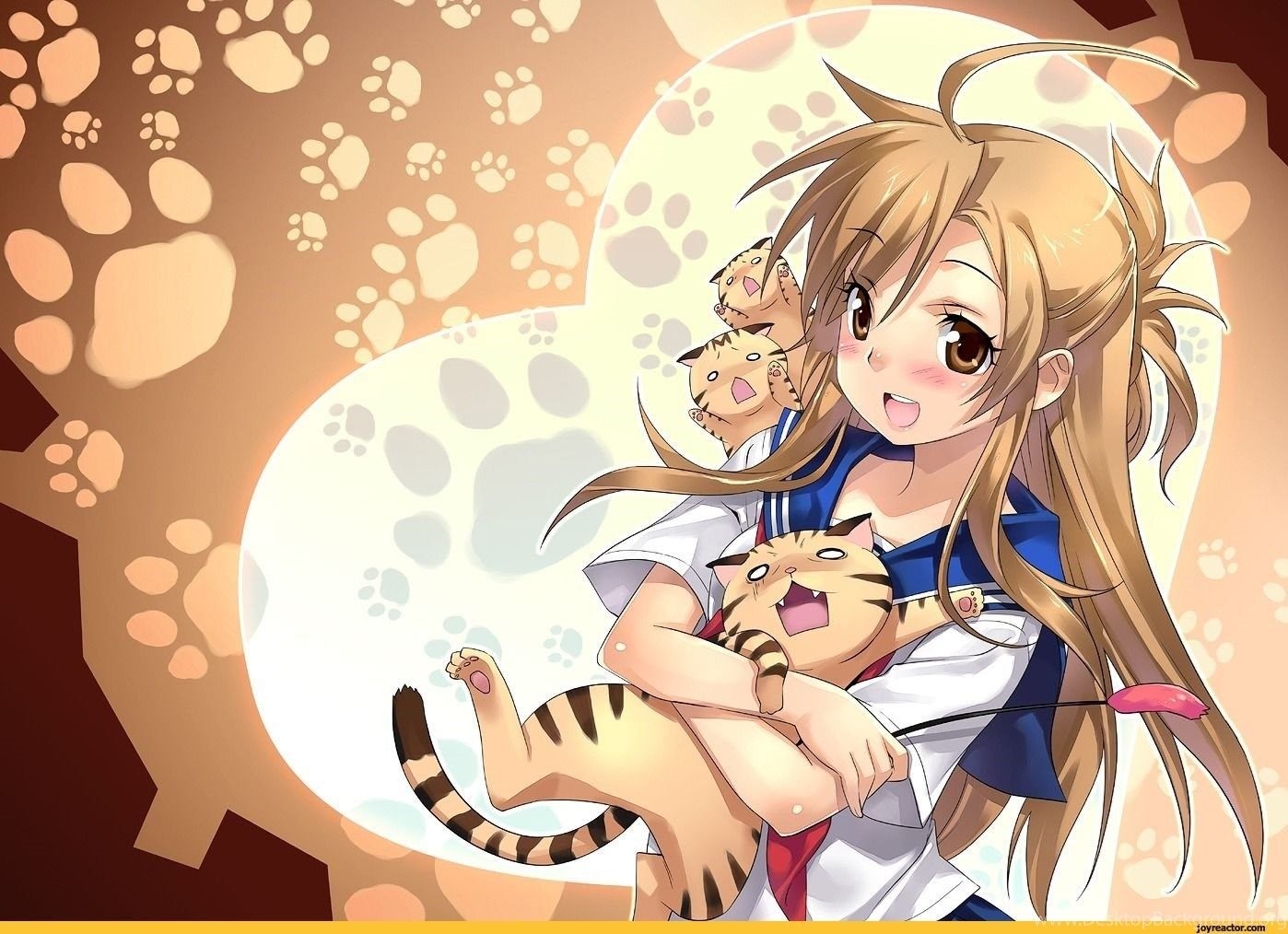 1400x1020 Cute Anime Cat People Wallpaper 2014 Desktop Background, Desktop