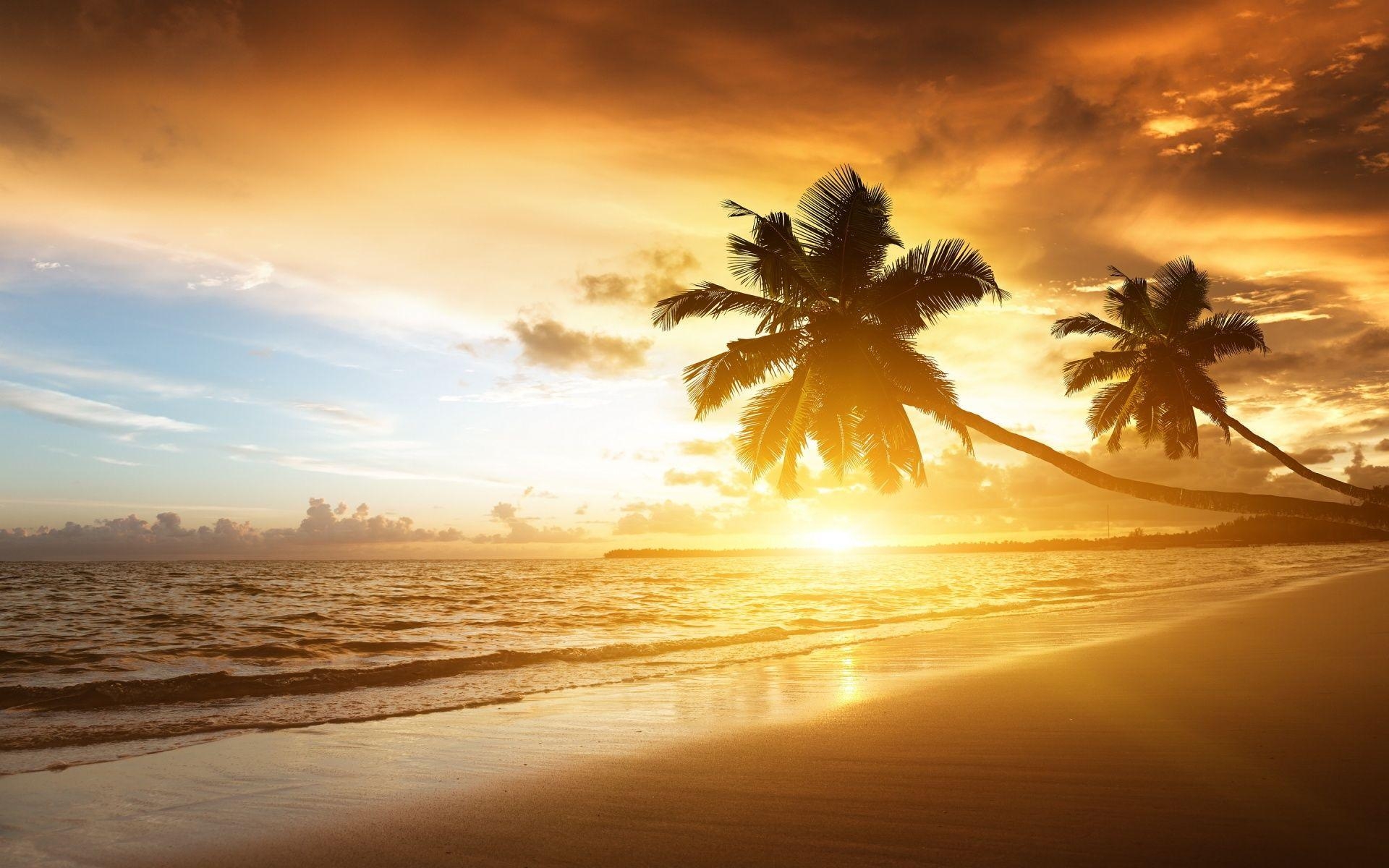 1920x1200 Caribbean Wallpaper for Desktop, Desktop