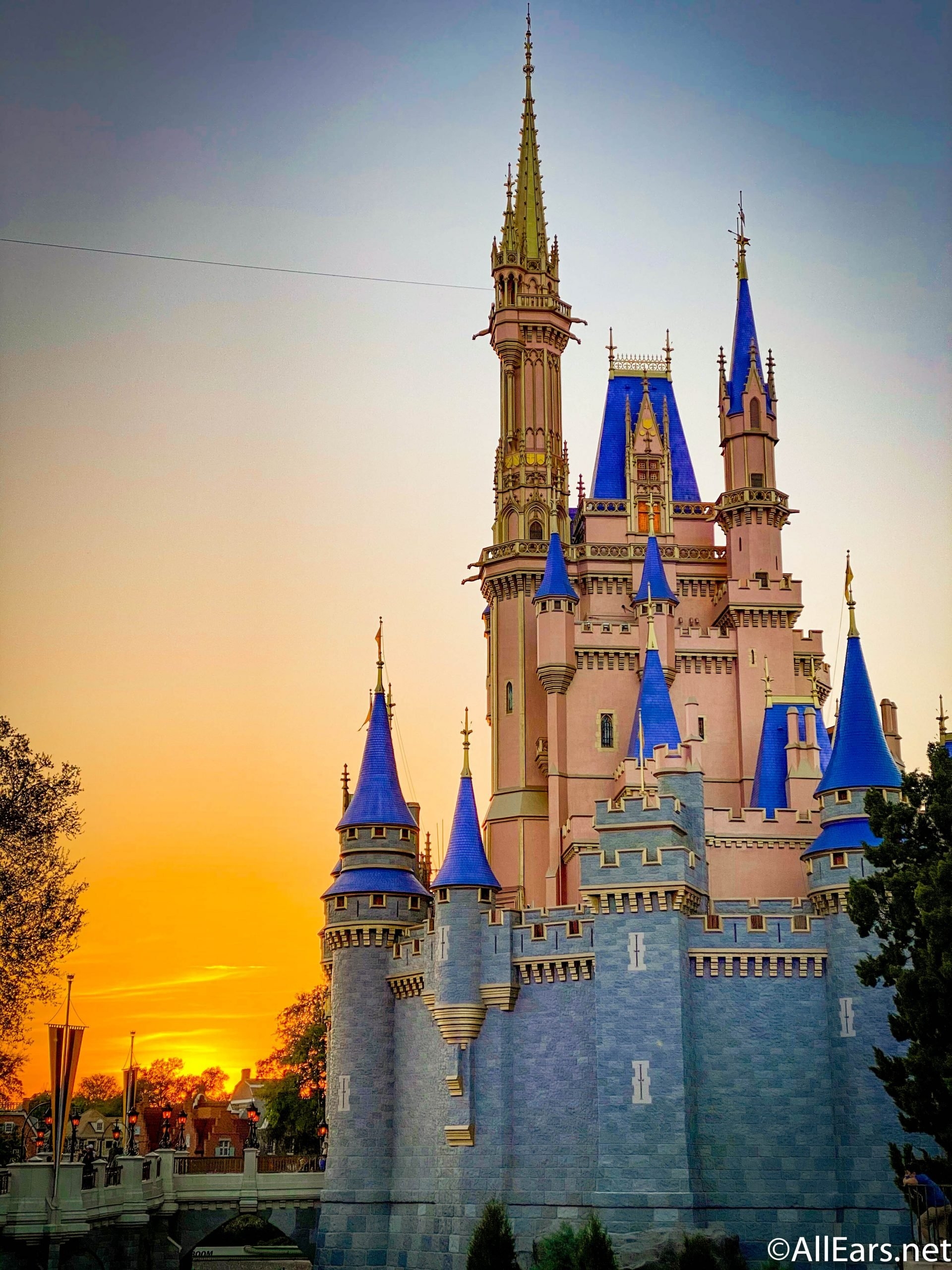 1920x2560 Stunning Disney World Wallpaper to Bring the Magic to Your Phone, Phone