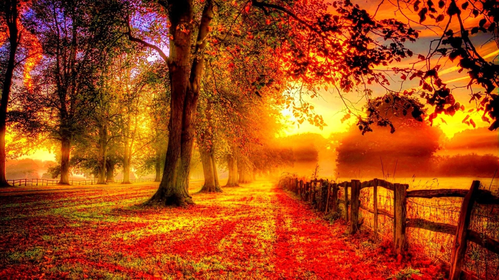 1920x1080 Herbst HD Wallpaper Season, HD Wallpaper, Desktop