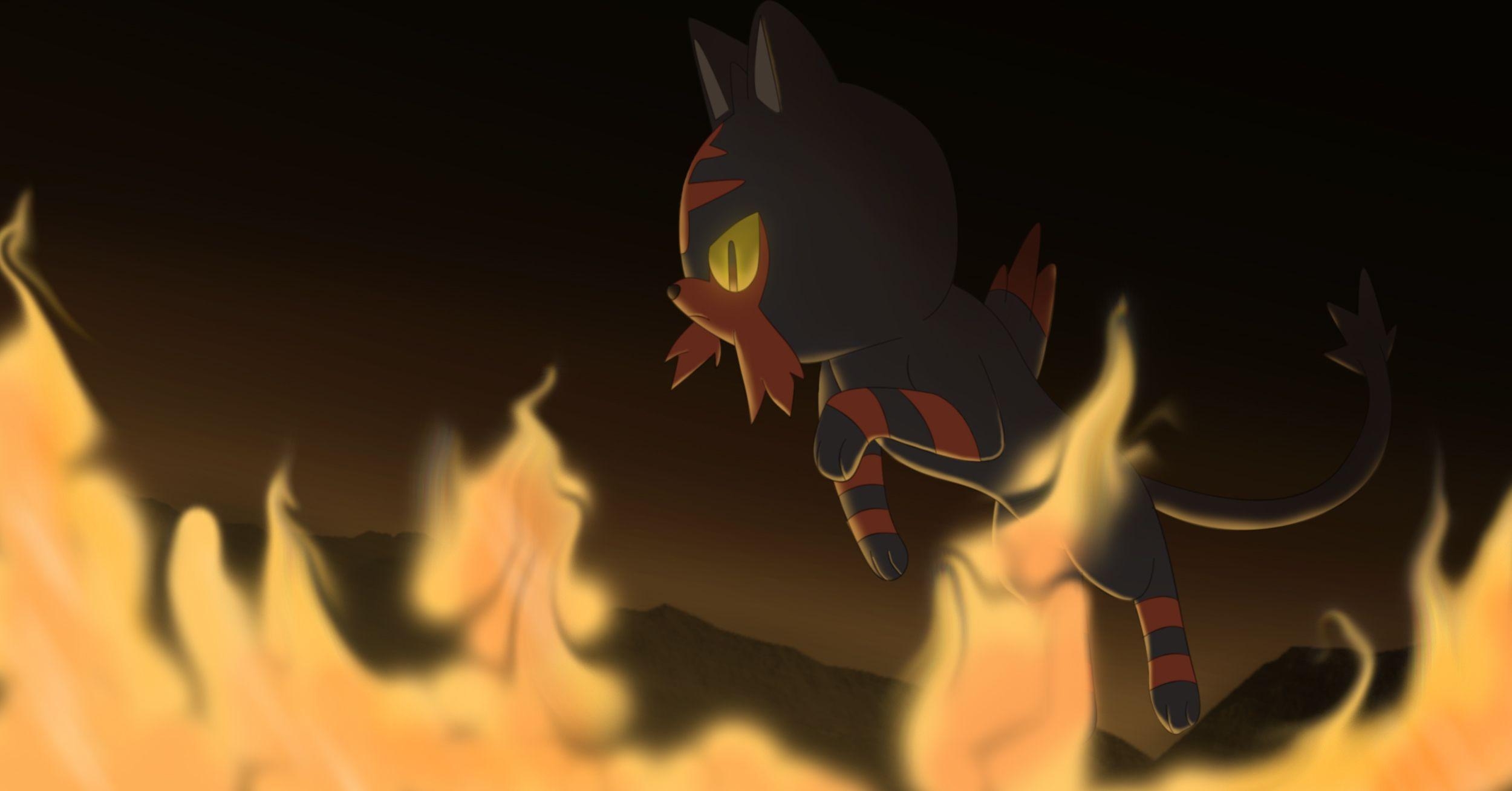 2500x1310 Litten (Pokémon) HD Wallpaper and Background Image, Desktop