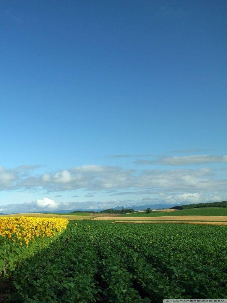 770x1030 Hokkaido, Japan ❤ 4K HD Desktop Wallpaper for 4K Ultra HD TV, Phone