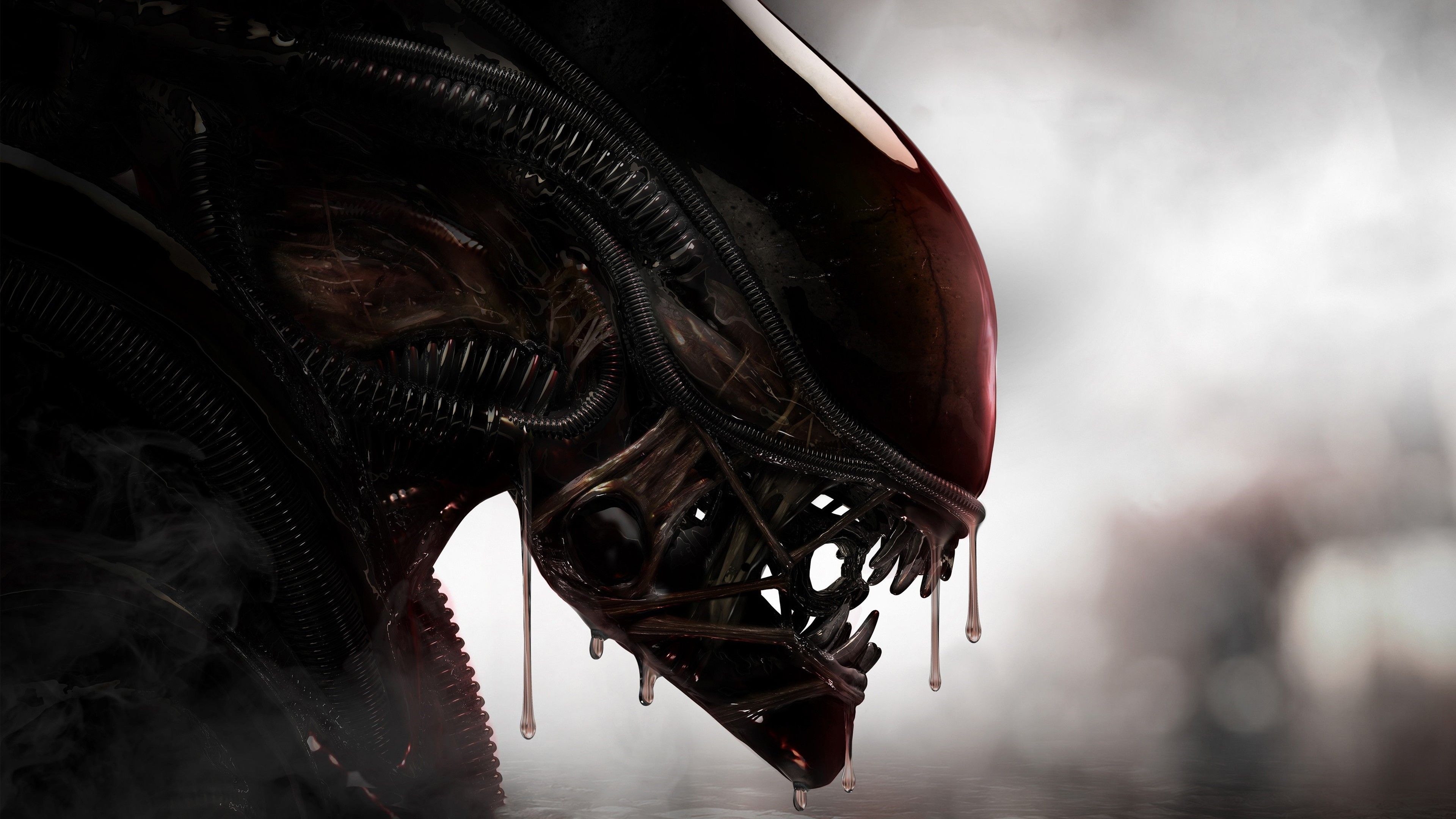 3840x2160 Aliens Xenomorph Creature 4k Hd Wallpaper, Digital Art Wallpaper, Creature Wallpaper, Artist Wallpaper, Alien Wallpaper. Xenomorph, Culture Art, Aliens Movie, Desktop