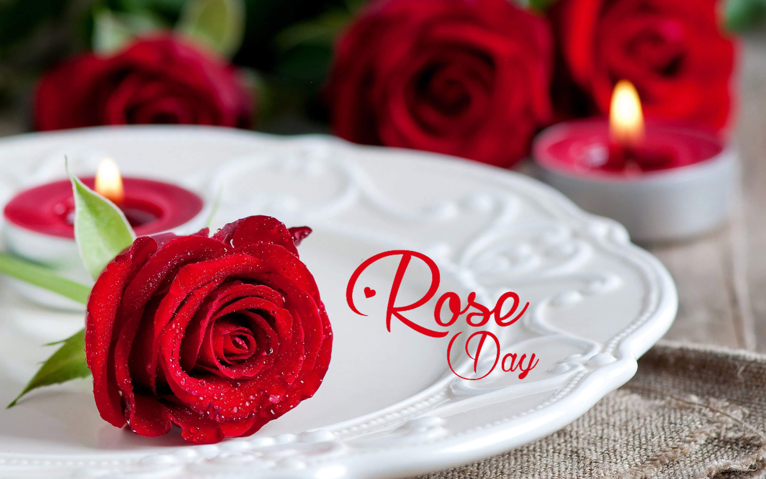 2560x1600 Happy Rose Day Red Love Wishes, Desktop