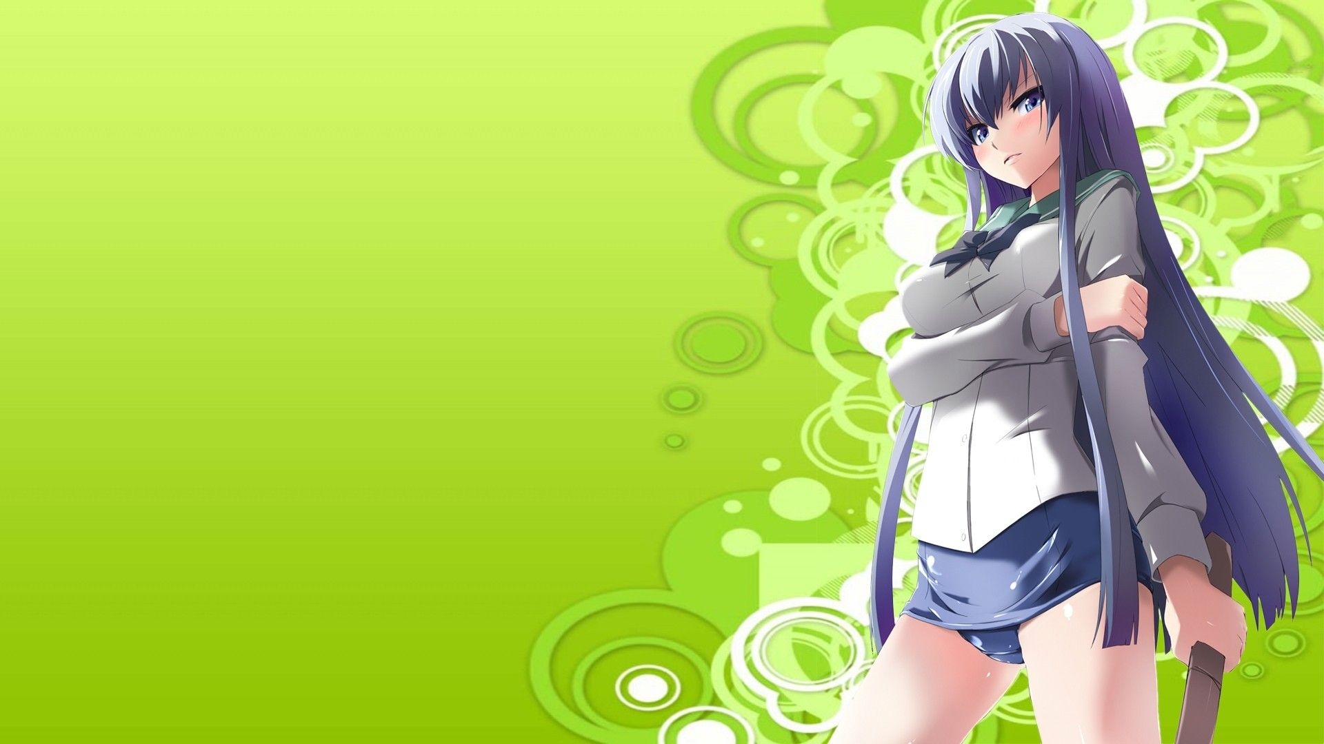 1920x1080 Highschool of the Dead, Busujima Saeko, HOTD, H.O.T.D. wallpaper, Desktop