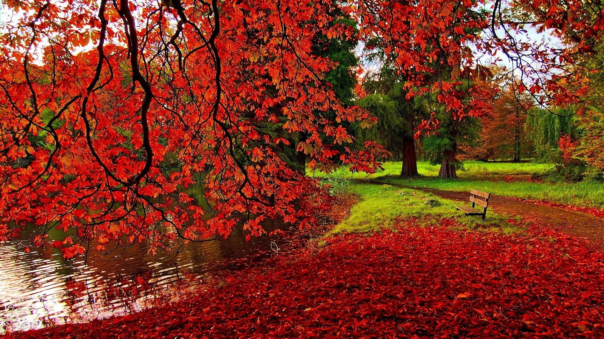 1920x1080 Park Autumn Wallpaper, Desktop