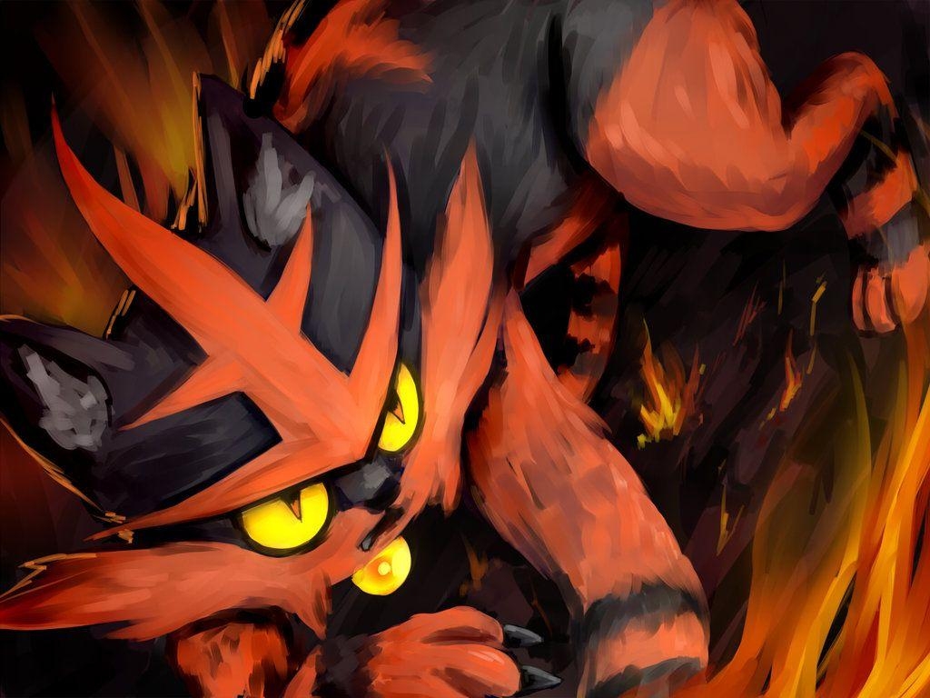 1030x770 Torracat Pokemon, Desktop