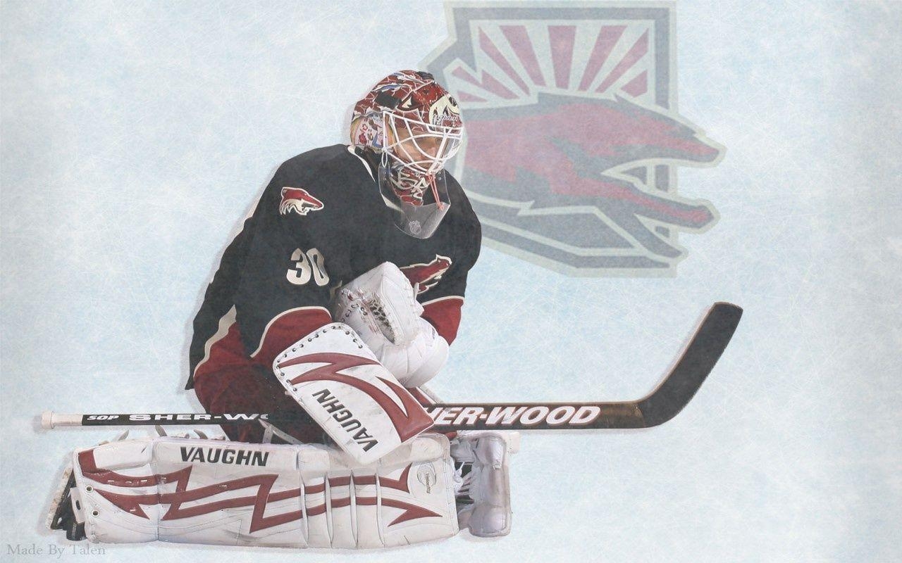 1280x800 Ilya Bryzgalov Phoenix Coyotes wallpaper, Desktop