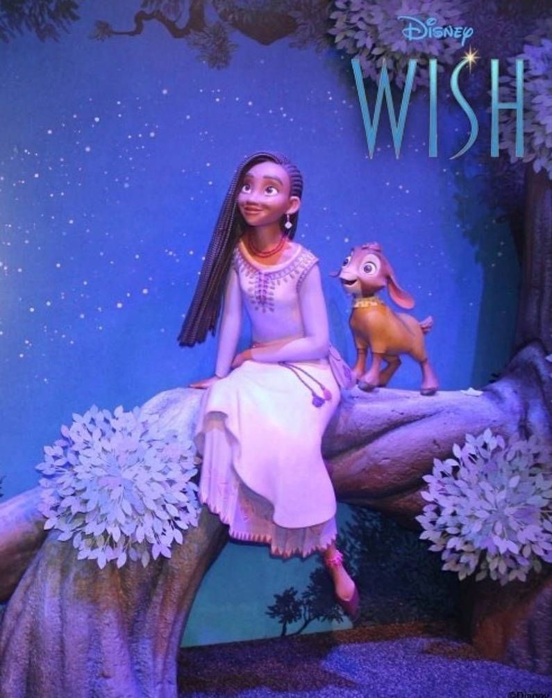 800x1010 Disney Wish Art. New disney princesses, Disney wishes, Walt disney animation studios, Phone