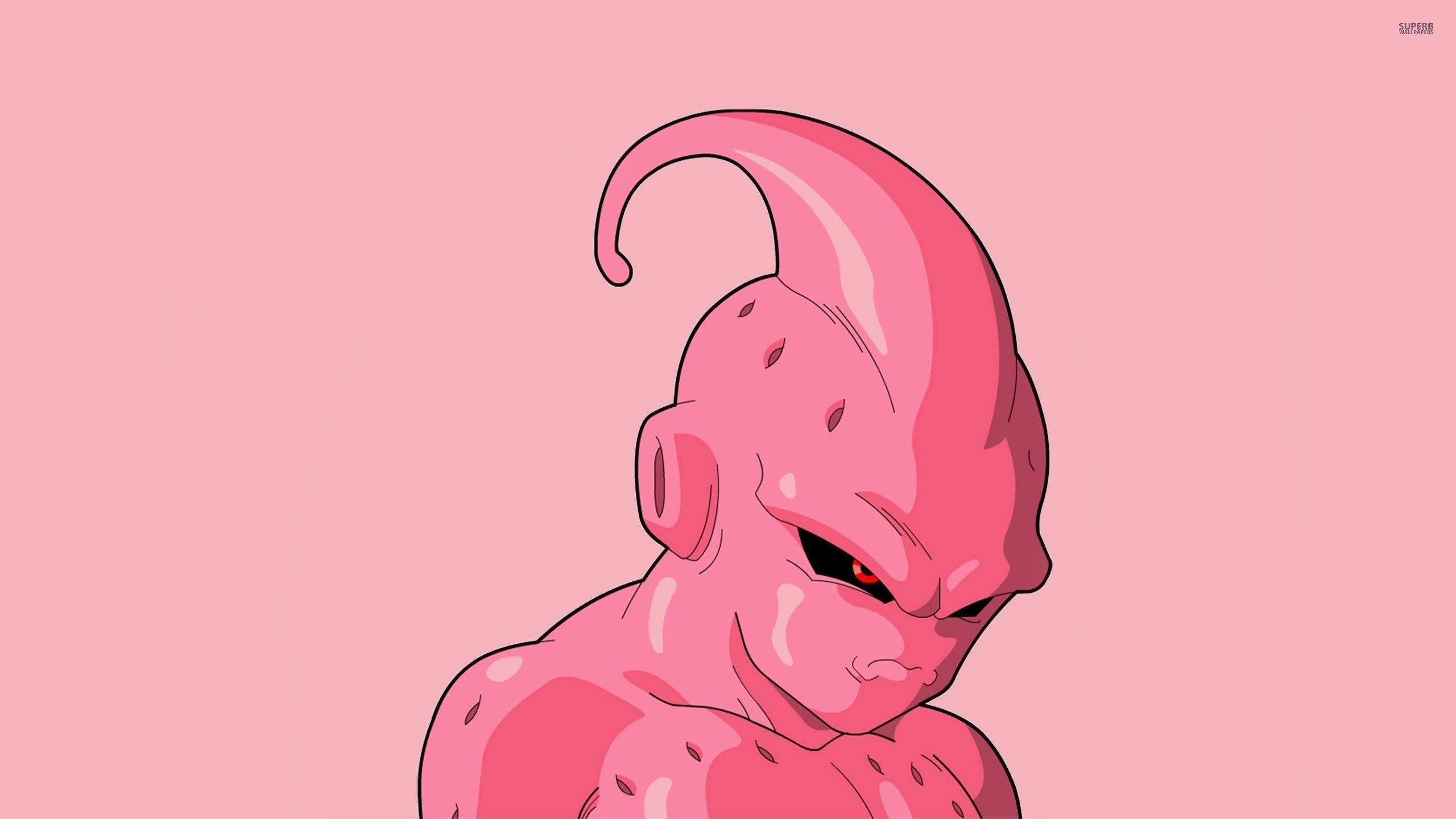 2560x1440 Dragon Ball Z Wallpaper Pink, Desktop