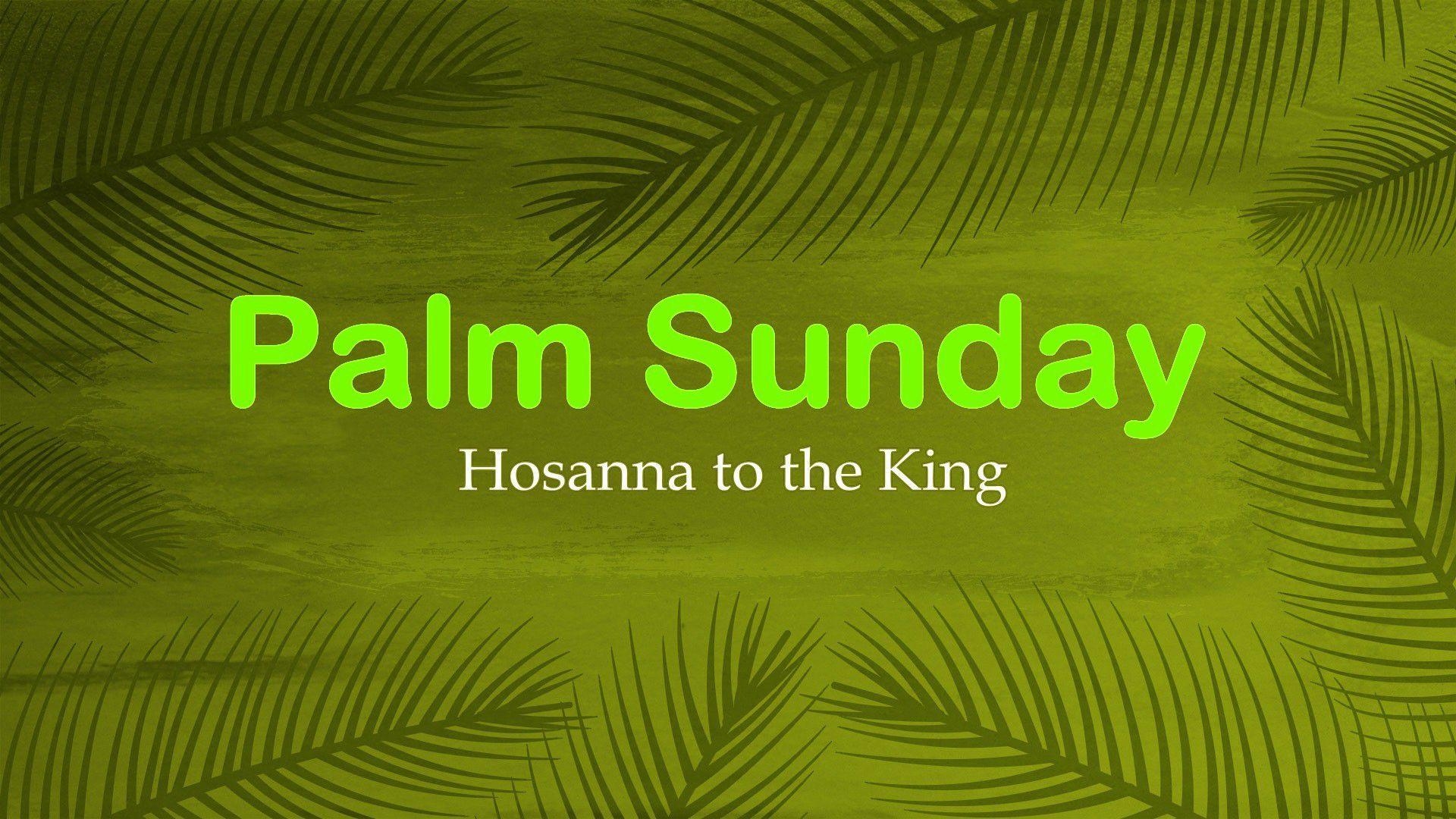 1920x1080 Palm Sunday HD Wallpaper, Desktop