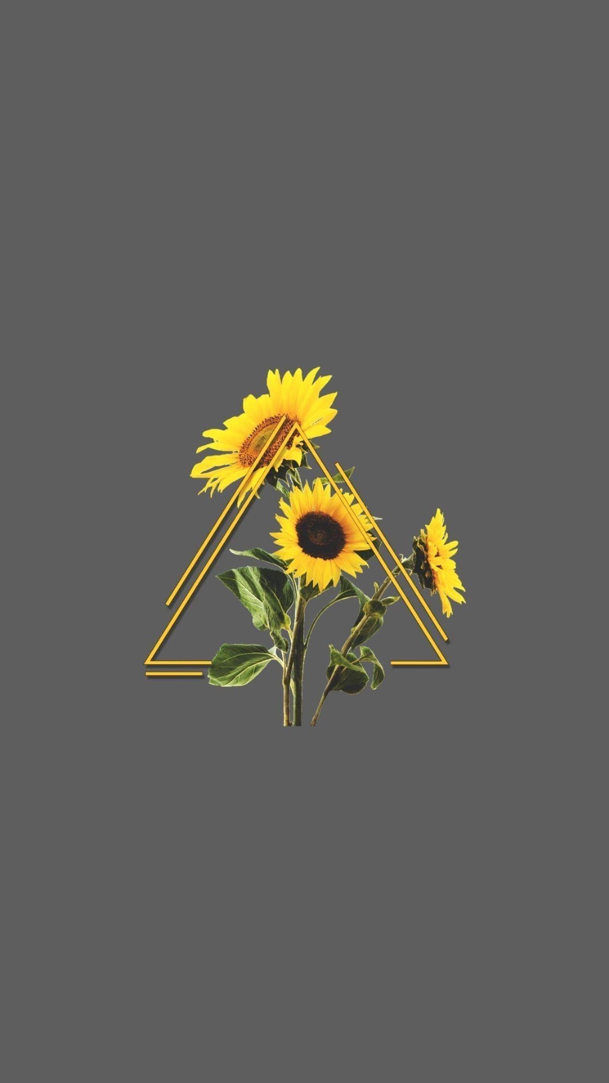 1200x2140 Download Aesthetic Sunflower Wallpaper Desktop, Phone