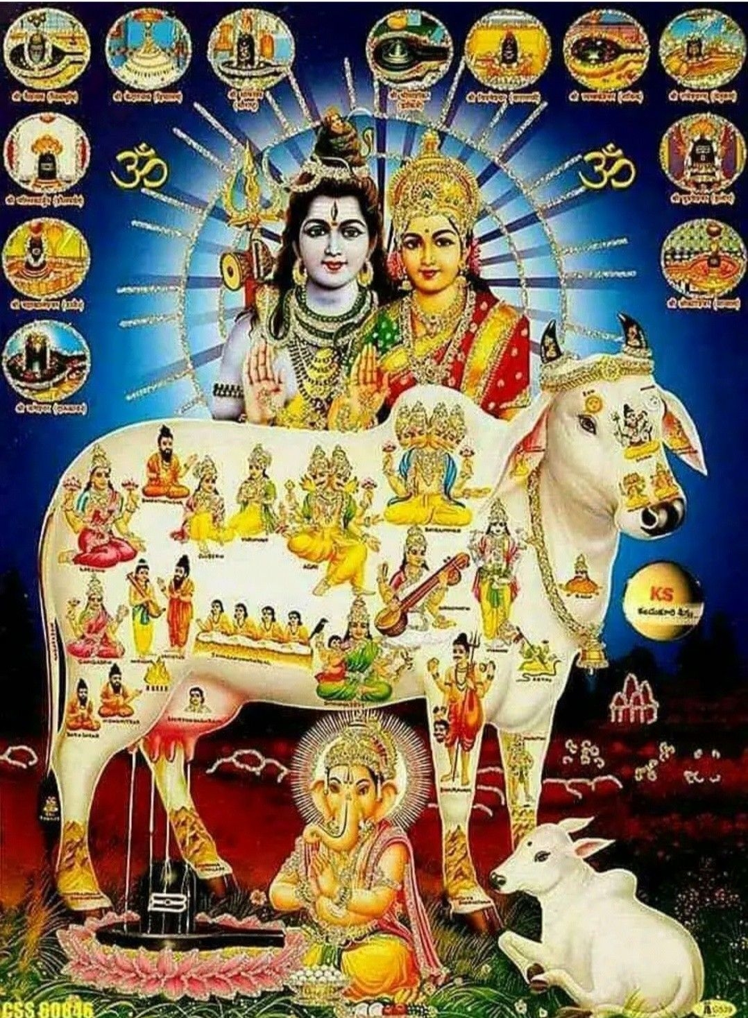 1080x1470 11 Lord Gomatha. Hindu, Phone