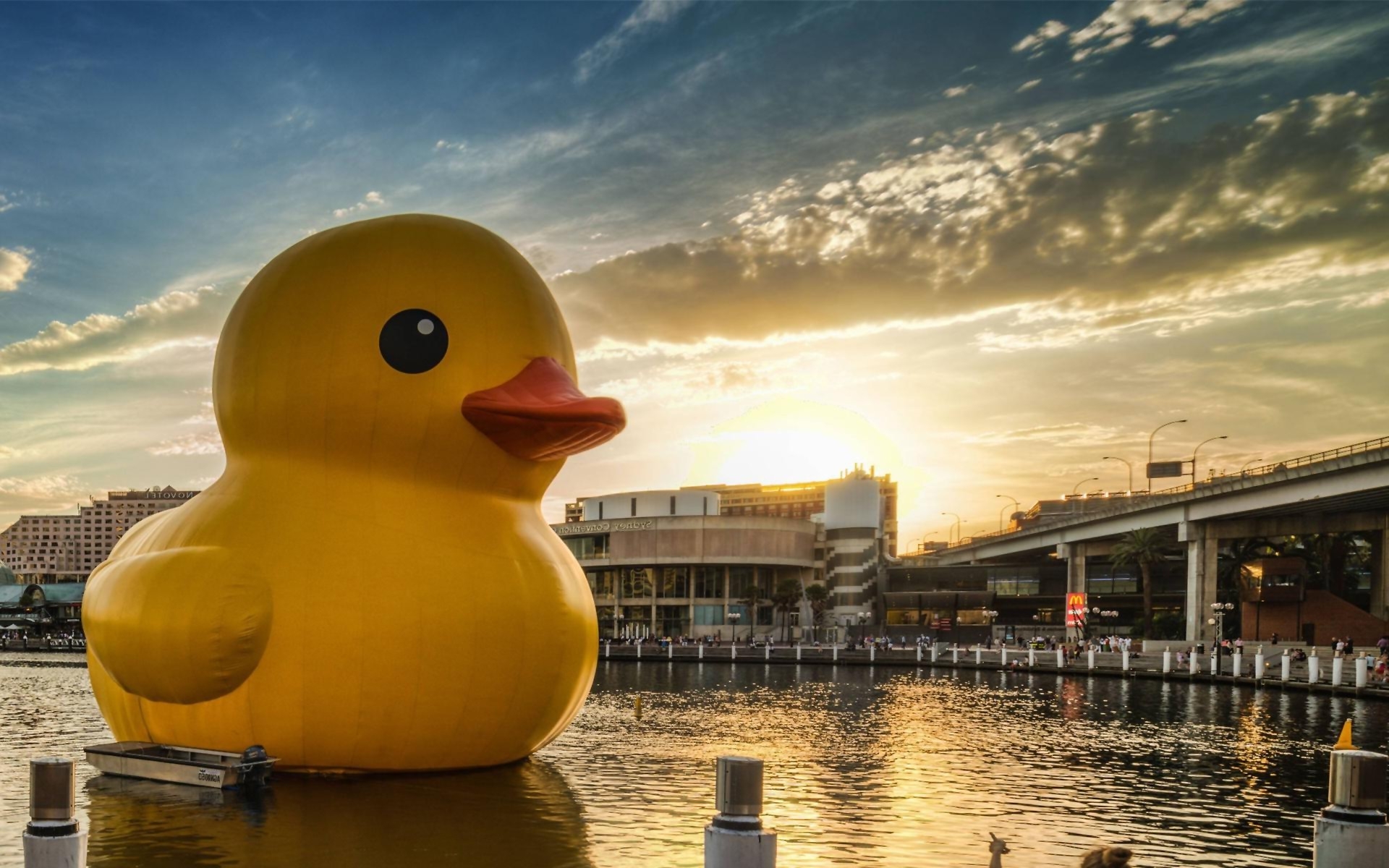 1920x1200 Rubber Duck, Desktop