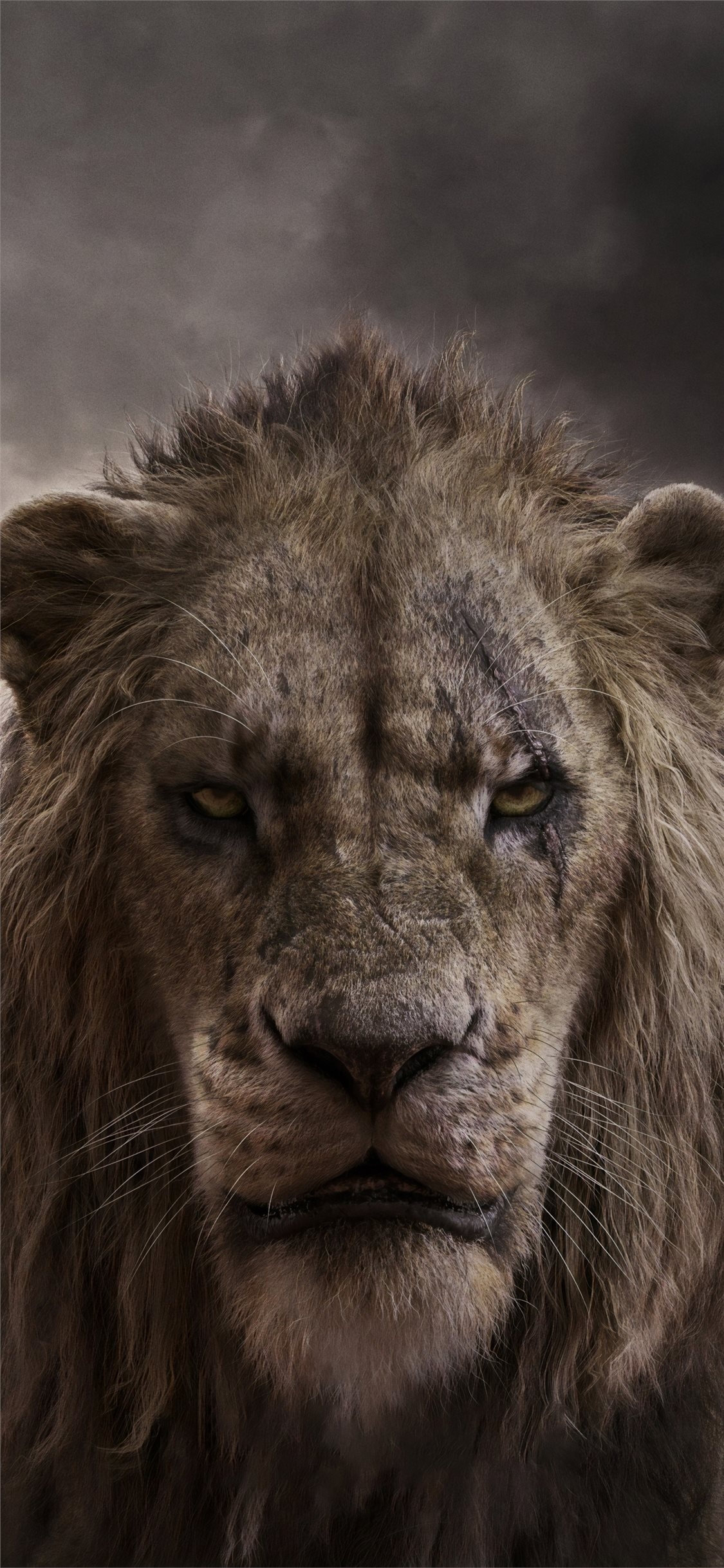 1130x2440 chiwetel ejiofor as scar in the lion king 2019 4k iPhone X Wallpaper Free Download, Phone