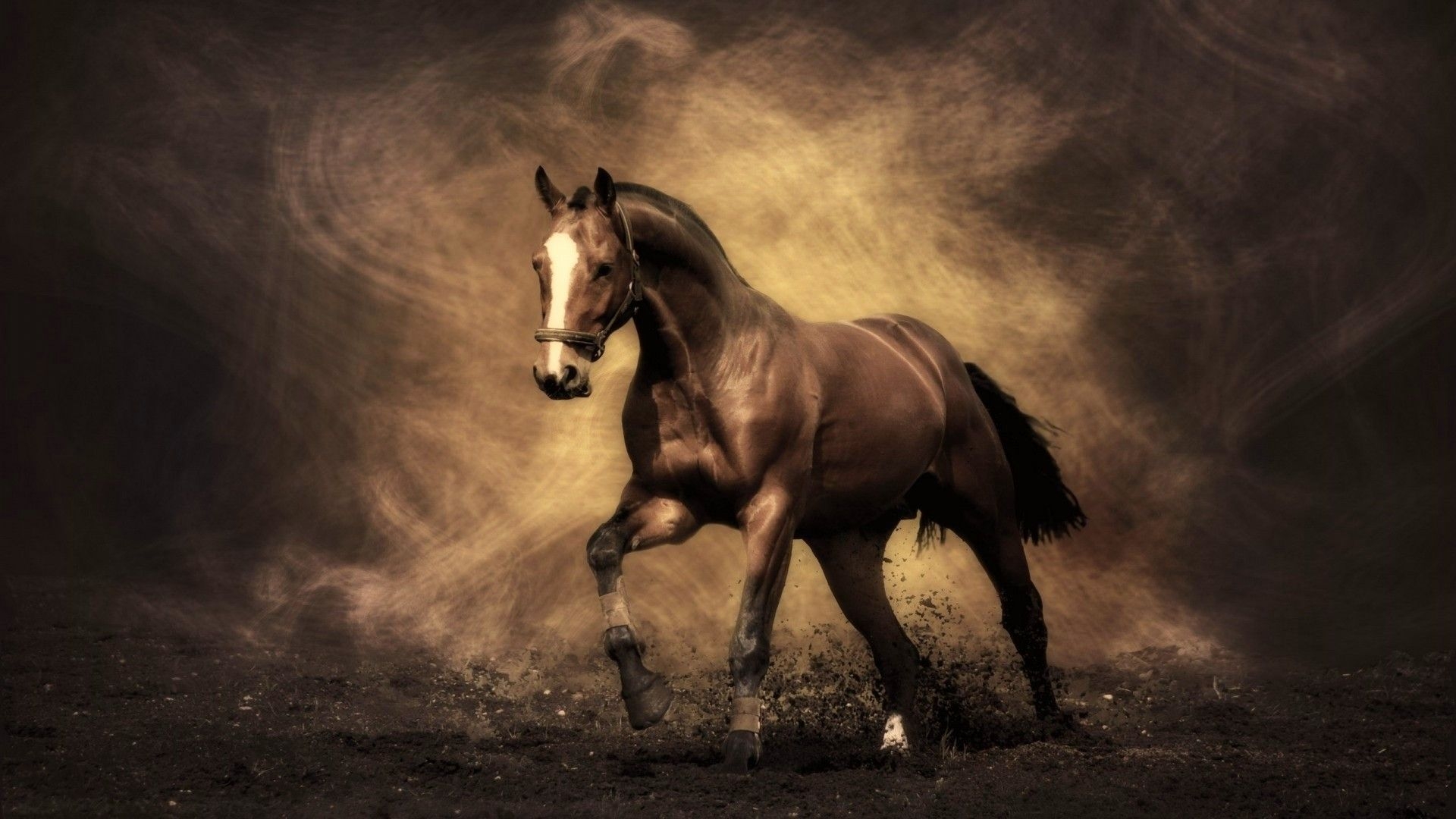 1920x1080 Horse Wallpaper, Desktop