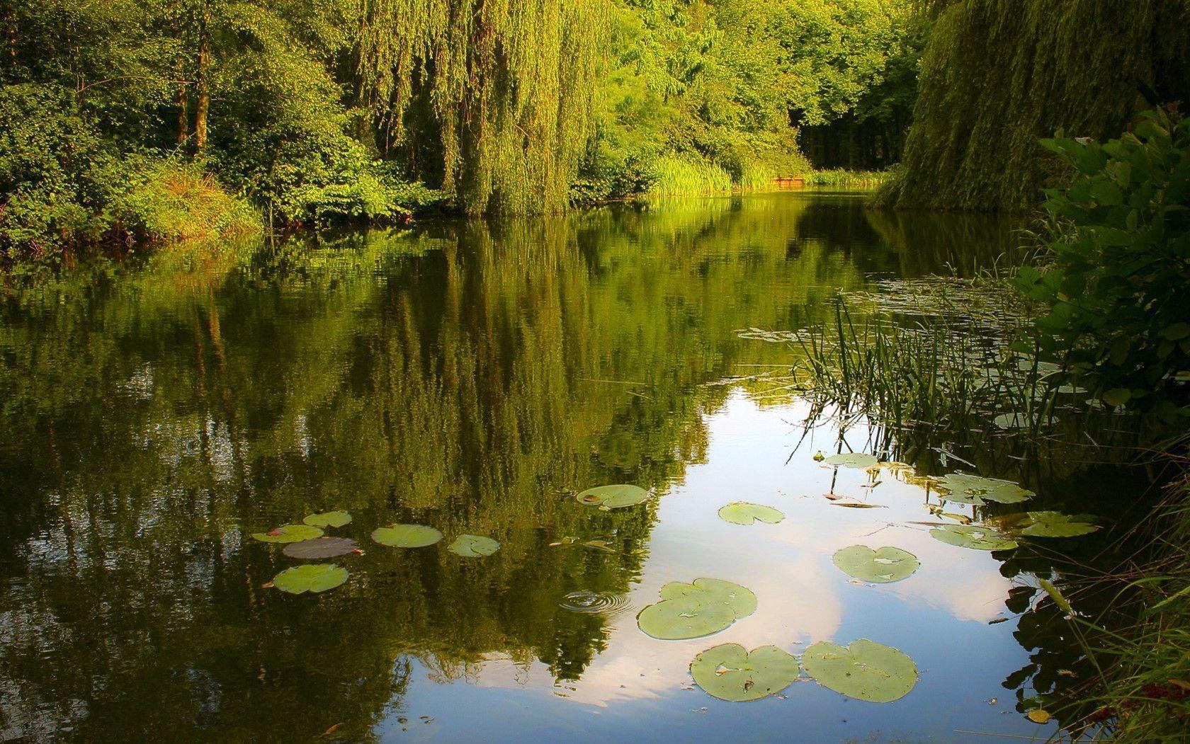 1680x1060 Pond wallpaper, Desktop