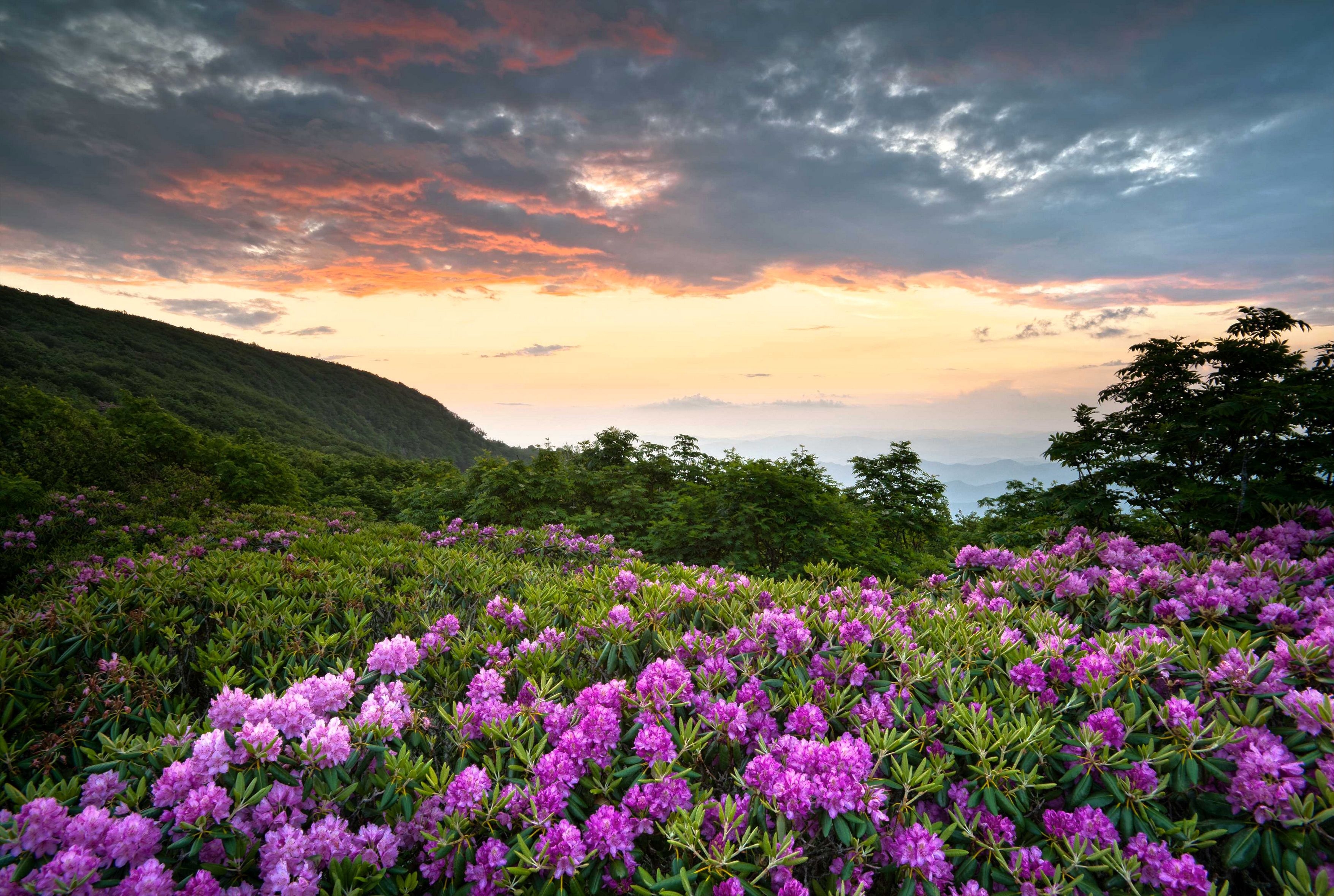 3510x2360 Download wallpaper usa, shenandoah, virginia, shenandoah national, Desktop