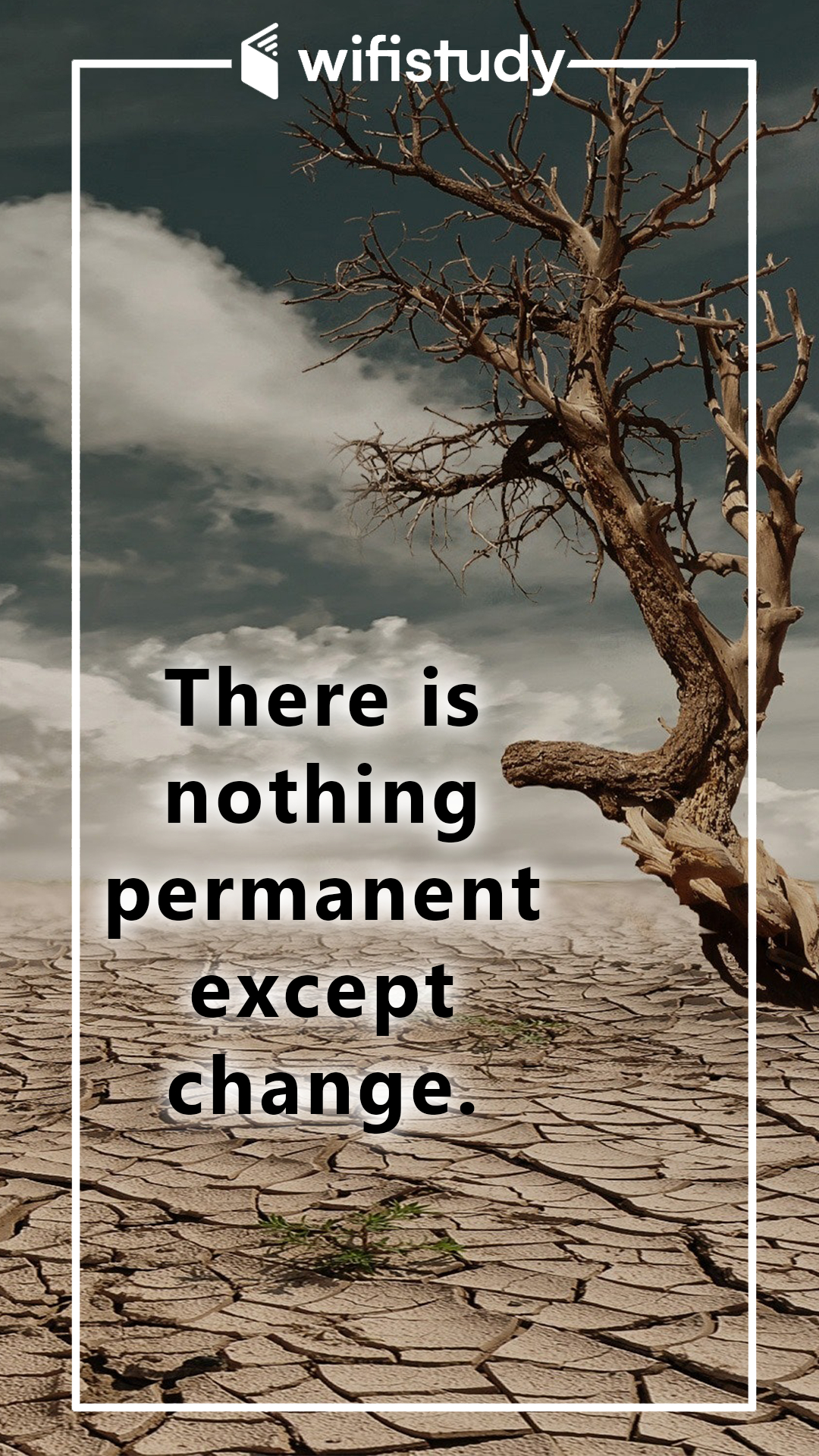 1080x1920 There is nothing permanent except change. Inspirational quotes, Wallpaper quotes, Quotations, Phone