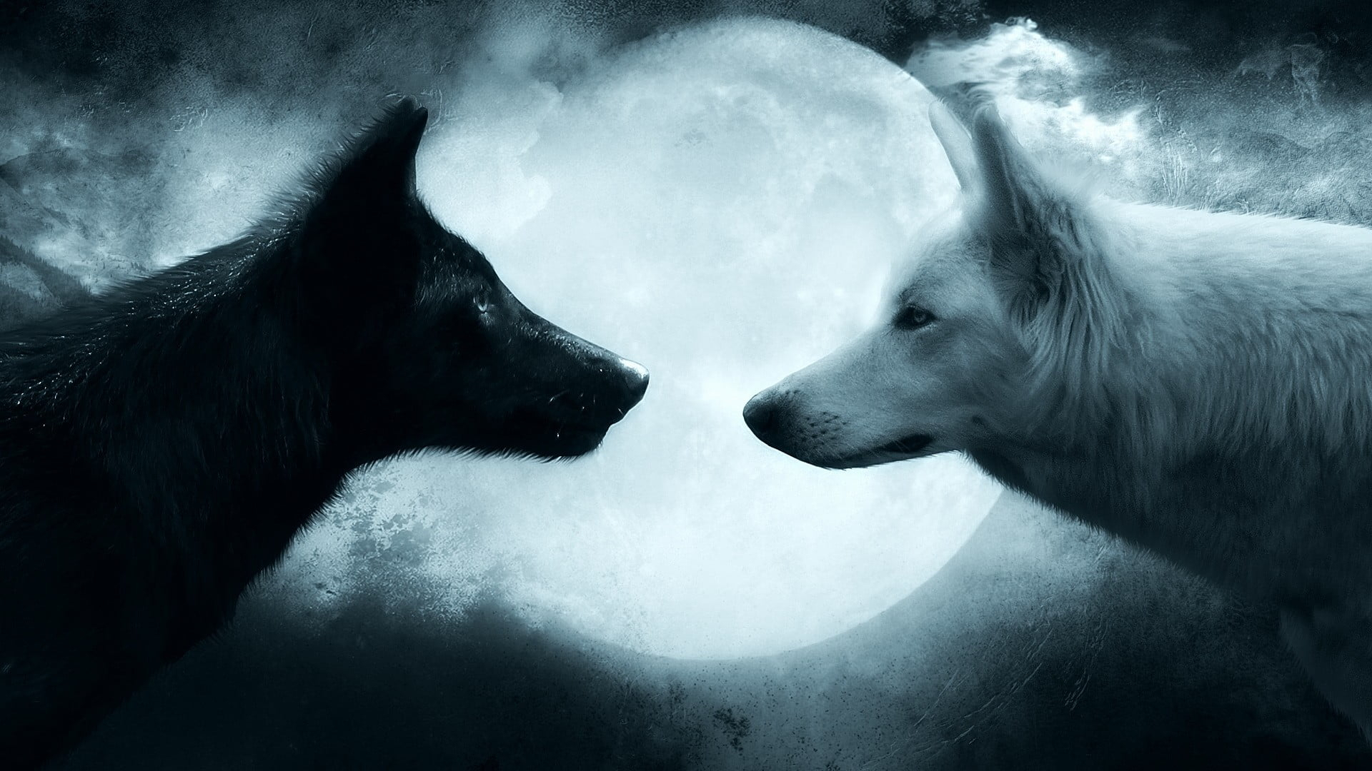 1920x1080 Two Black And White Wolves Wallpaper, Wolf, Couple, Animal, Animal Themes Wallpaper, Desktop