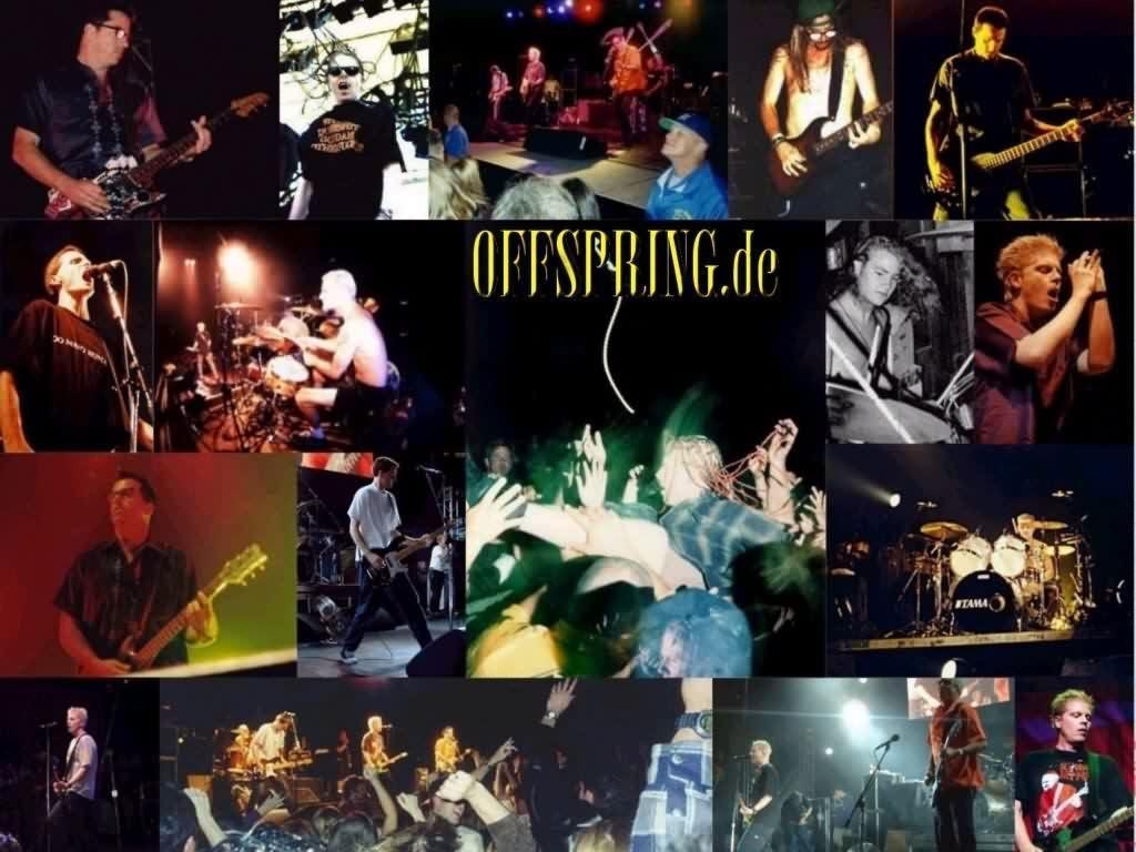 1030x770 The Offspring wallpaper, picture, photo, image, Desktop