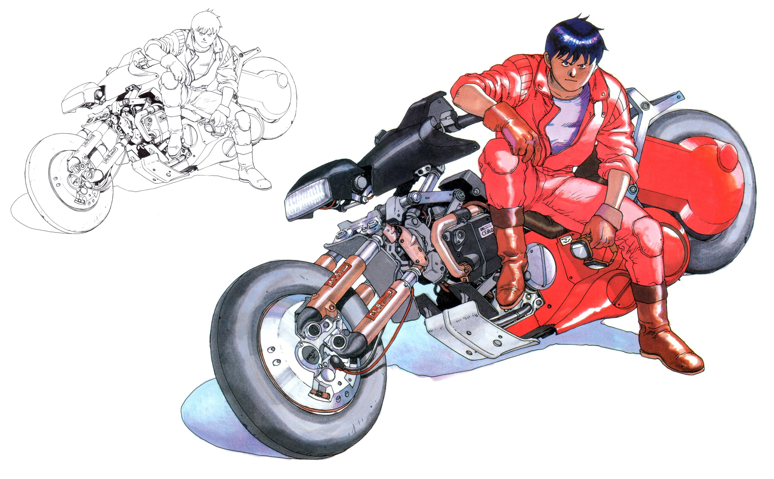 2560x1590 Akira HD Wallpaper and Background Image, Desktop