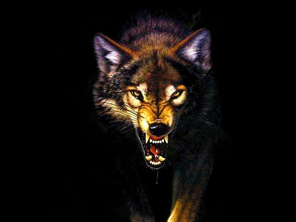 1030x770 Angry Wolf Wallpaper Free Angry Wolf Background, Desktop