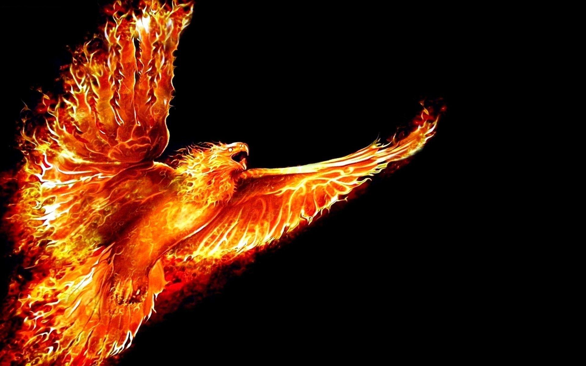 1920x1200 Burning Fire Eagle Bird [], Desktop