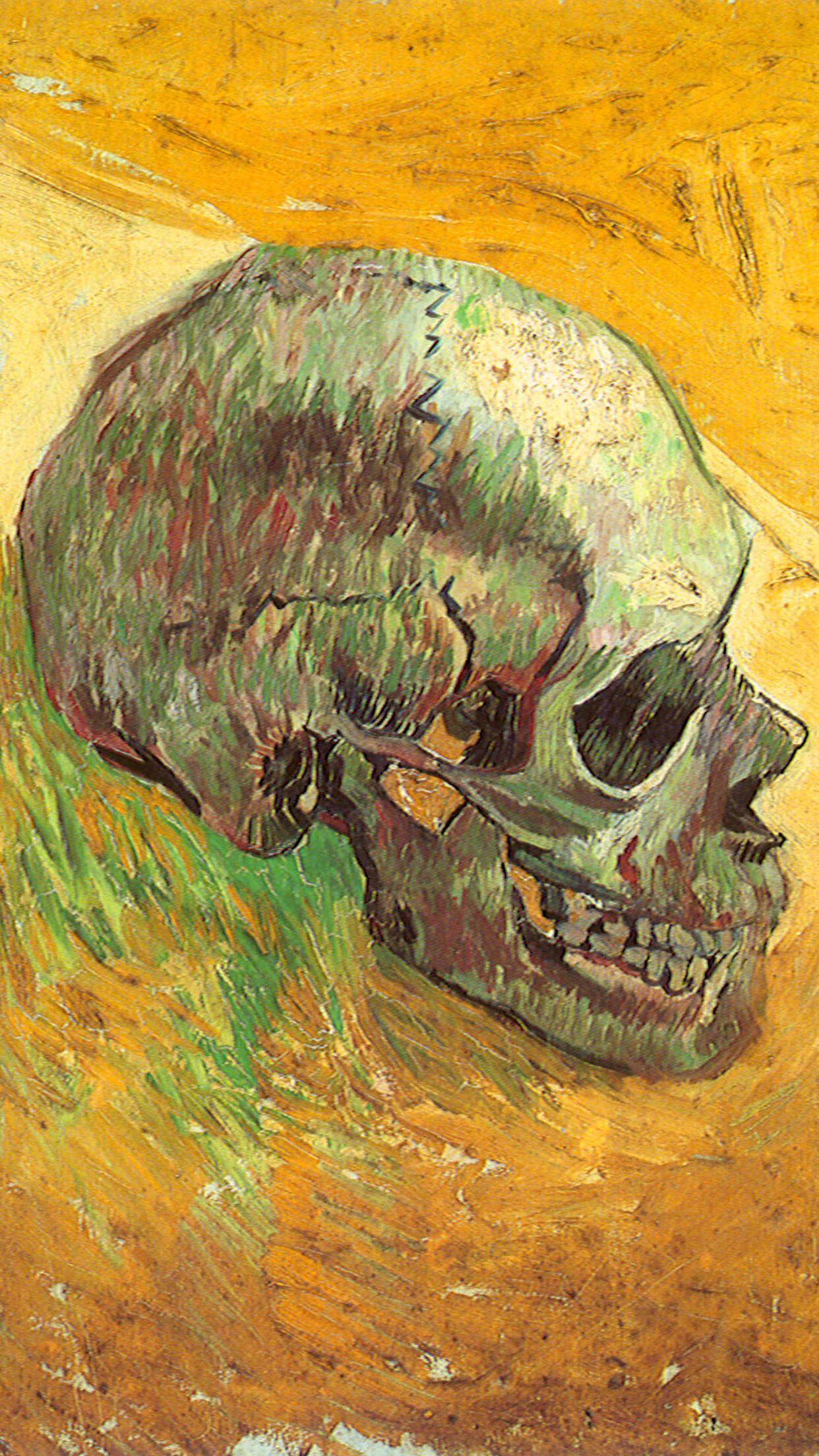 1250x2210 Van Gogh skull Wallpaper for iPhone Pro Max, X, 6, Phone