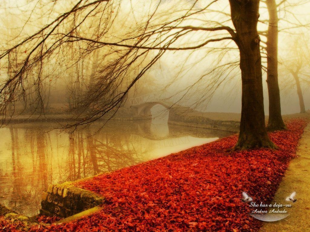 1030x770 Wallpaper For > November Fall Background, Desktop