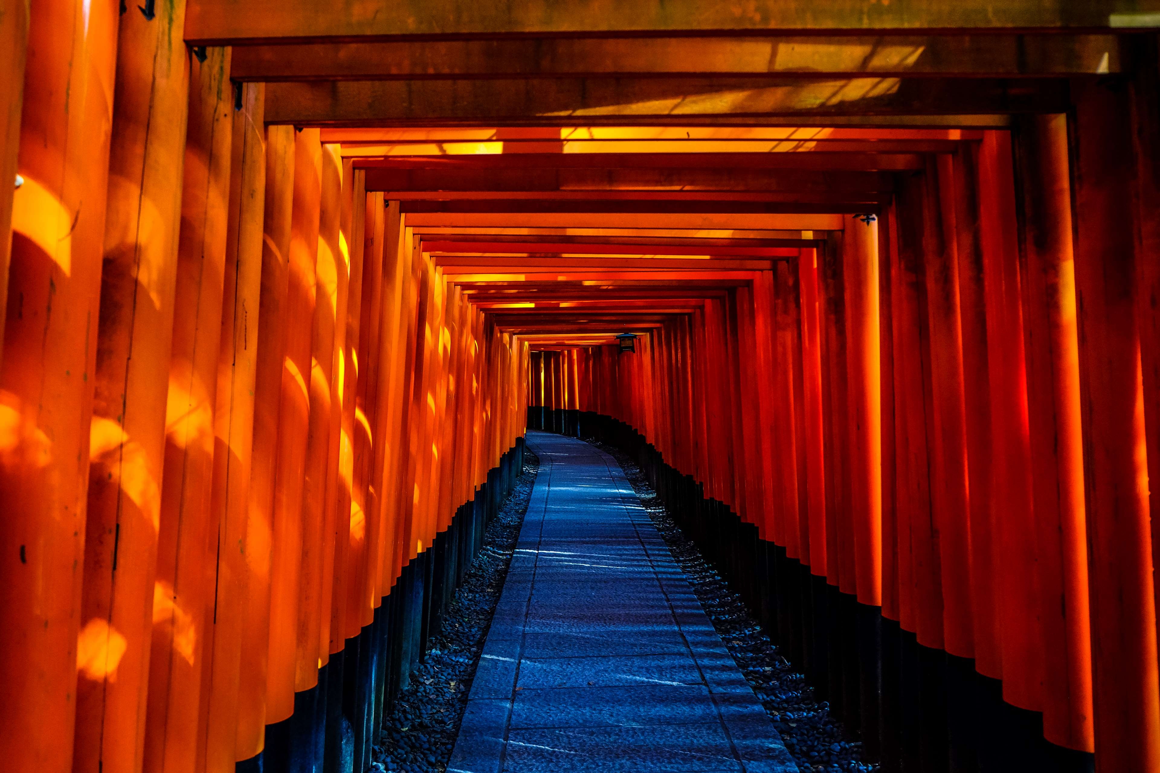 3840x2560 fushimi inari taisha, japan, temple, torii 4k wallpaper and background, Desktop