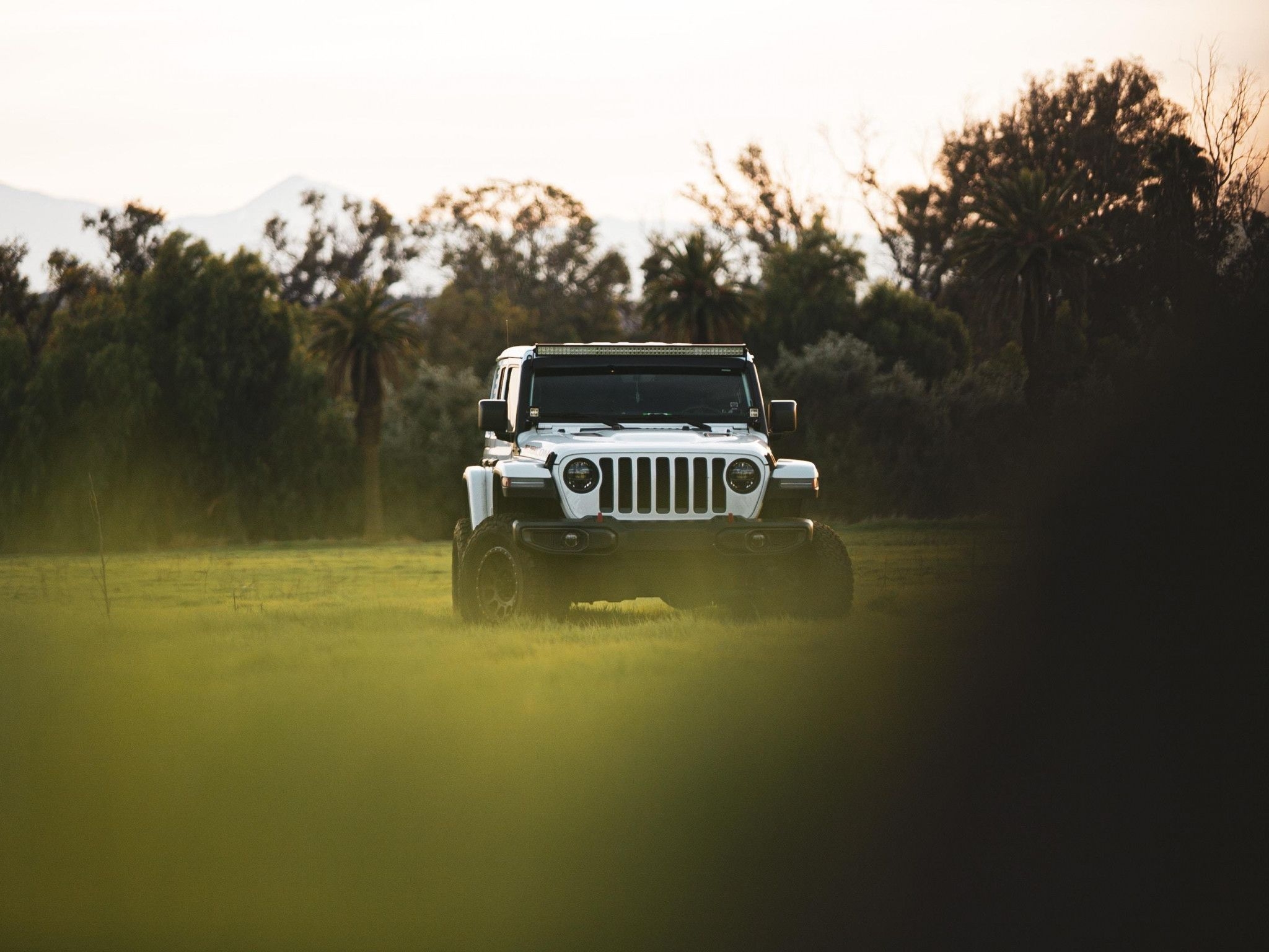 2050x1540 wallpaper jeep wrangler, jeep, car, suv, white HD, Widescreen, High Definition, Desktop